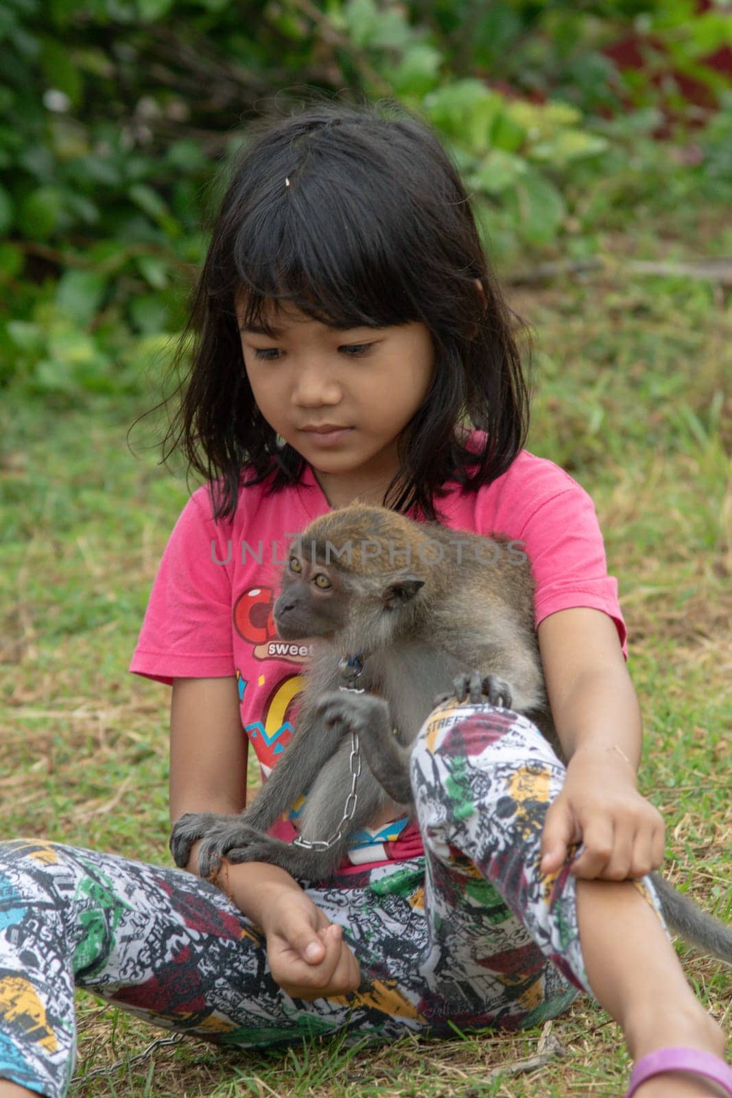 Kota Bahru, Kelantan/Malaysia - Jul 15 2017: A girl hug the monkey pet at field.