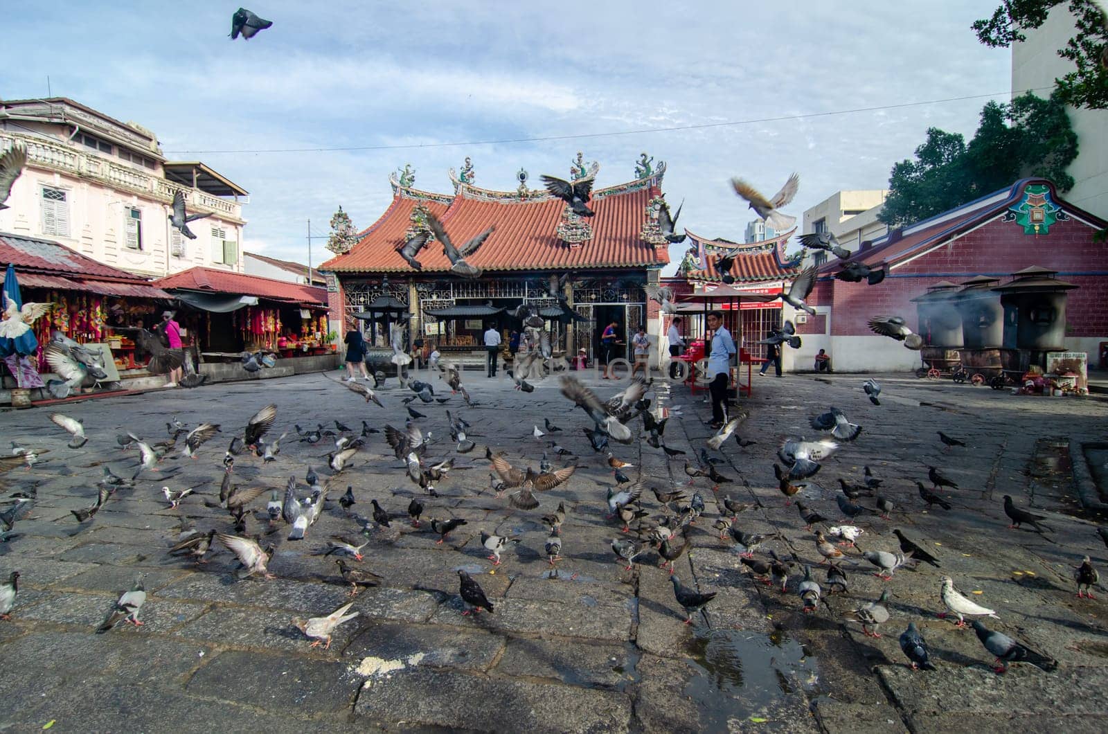 Georgetown, Penang/Malaysia - May 28 2018: Flock of Pigeons at Goddess of Mercy Temple