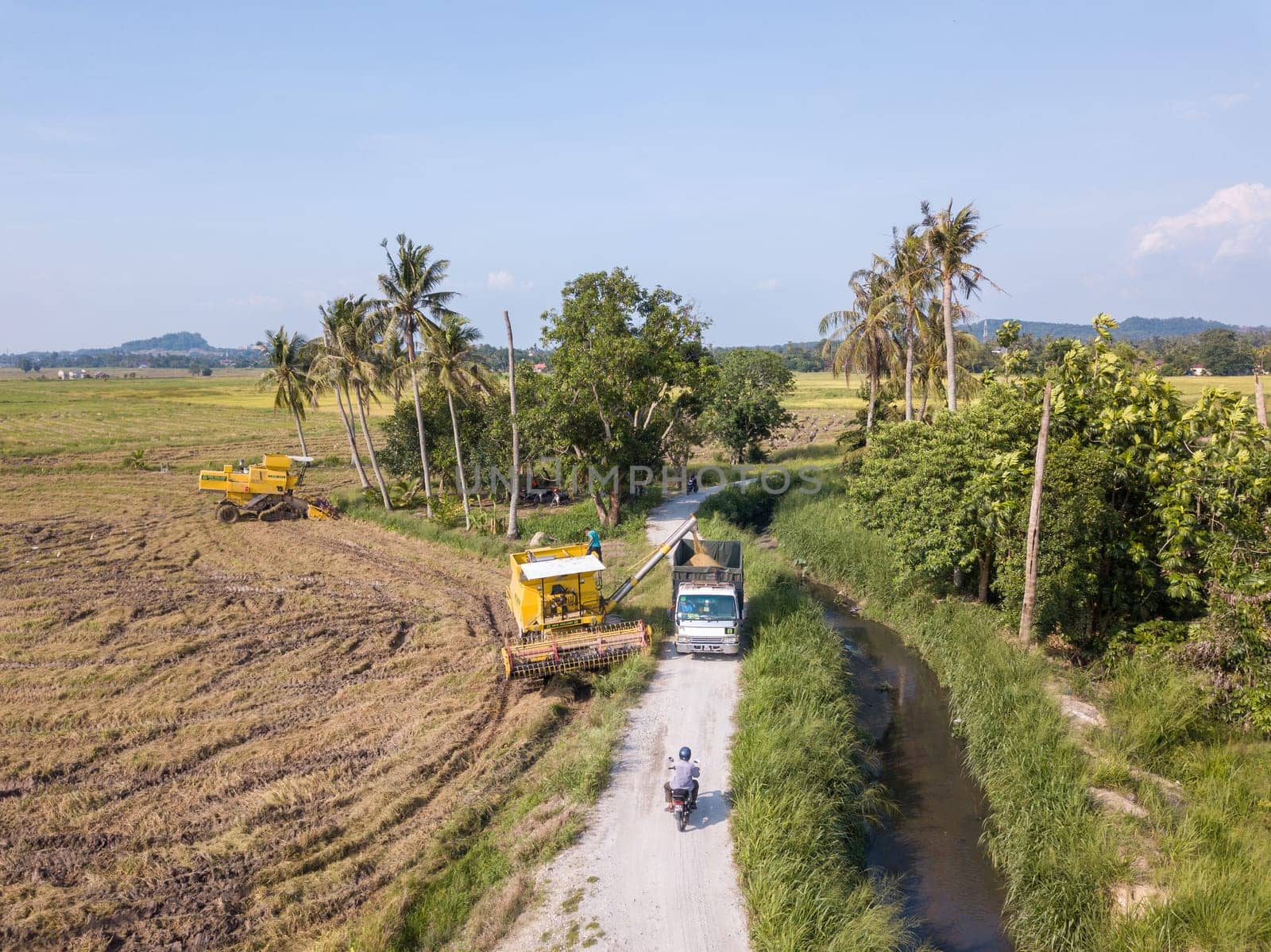 Bukit Mertajam, Penang/Malaysia - Apr 19 2019: Harvester pour the rice paddy seed into truck.