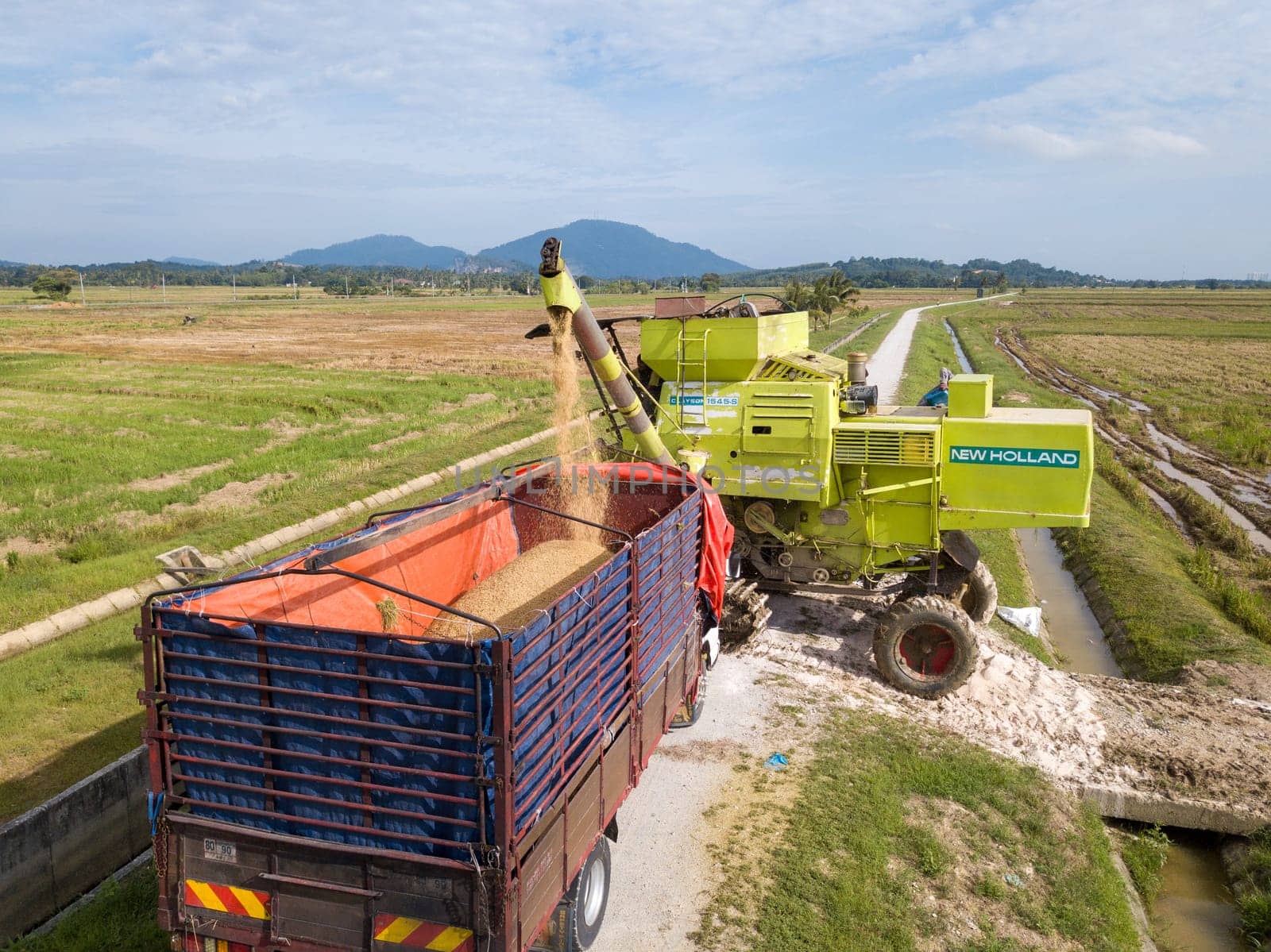 Penanti, Penang/Malaysia - Aug 27 2019: Harvester and semi truck at paddy field.