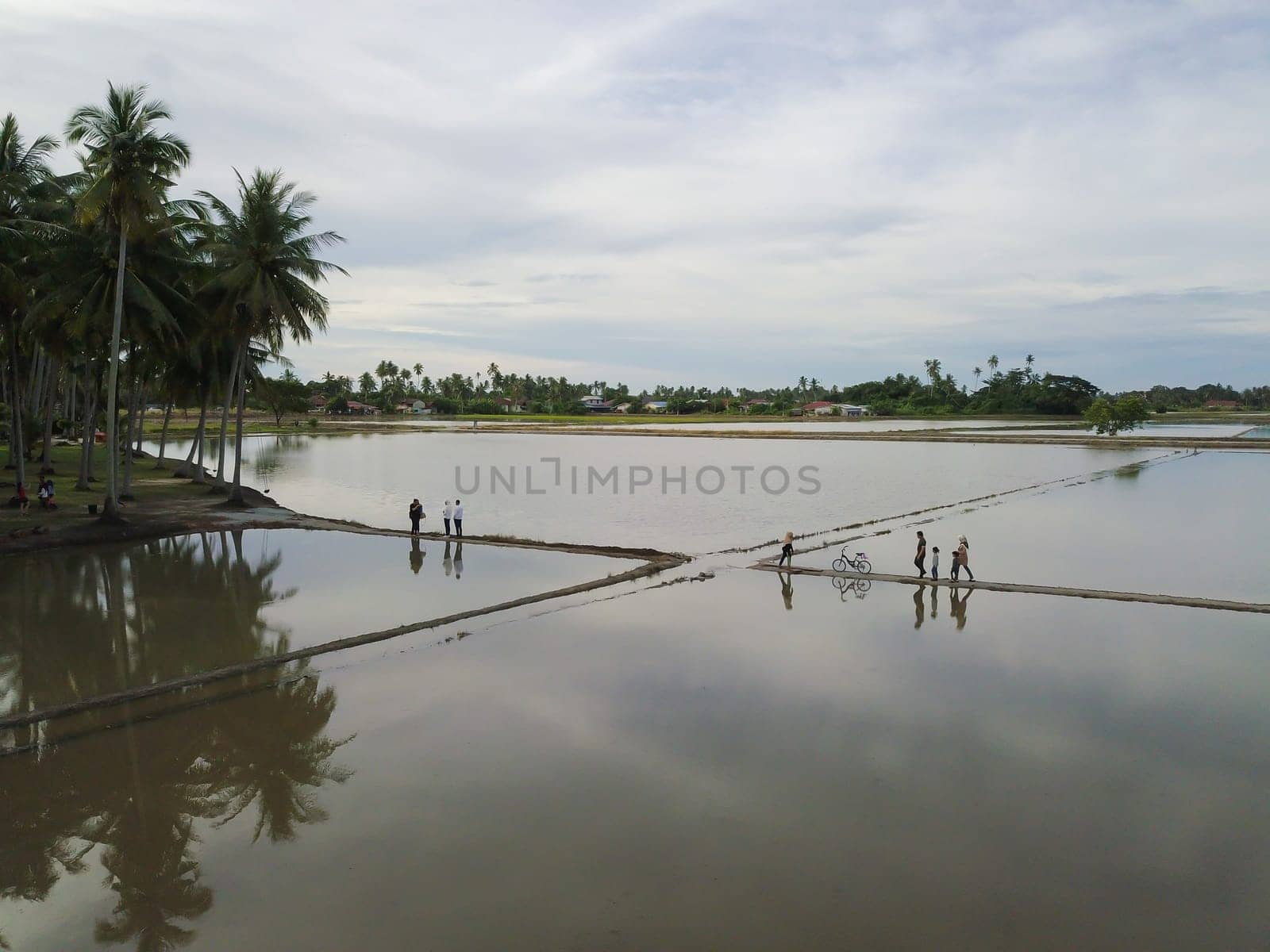 Penaga, Penang/Malaysia - Nov 01 2019: People enjoy eco tourism scenery at coconut farm.