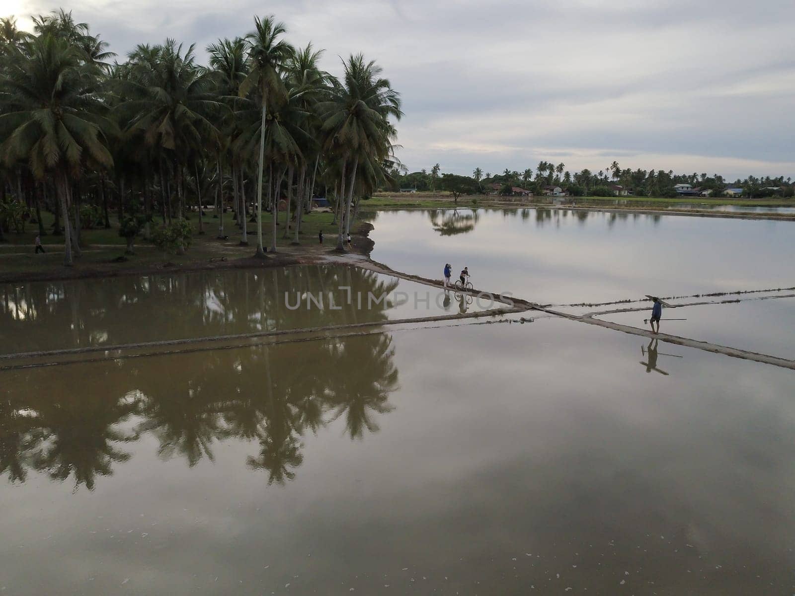 Penaga, Penang/Malaysia - Nov 01 2019: Farmer going home and tourist cycle at farm at Kampung Agong.