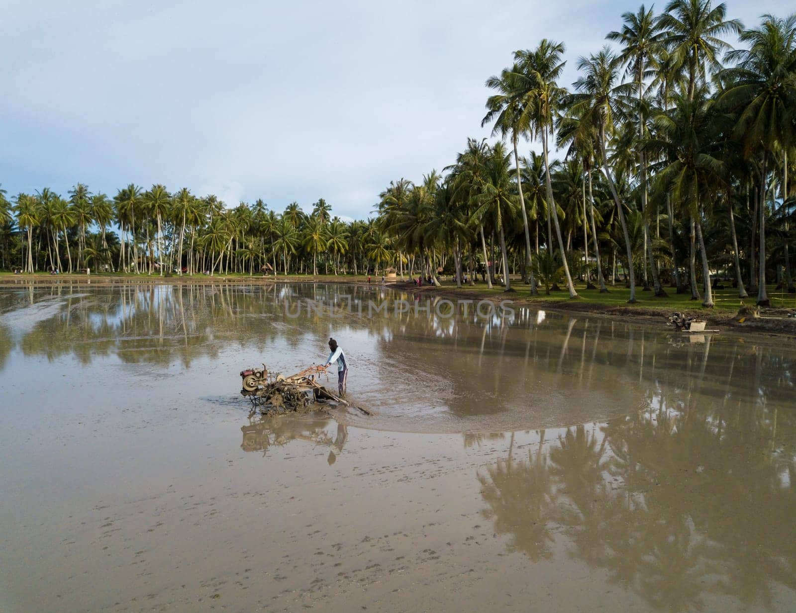 Penaga, Penang/Malaysia - Nov 02 2019: Farmer use machine tractor plowing land. Background is coconut farm.