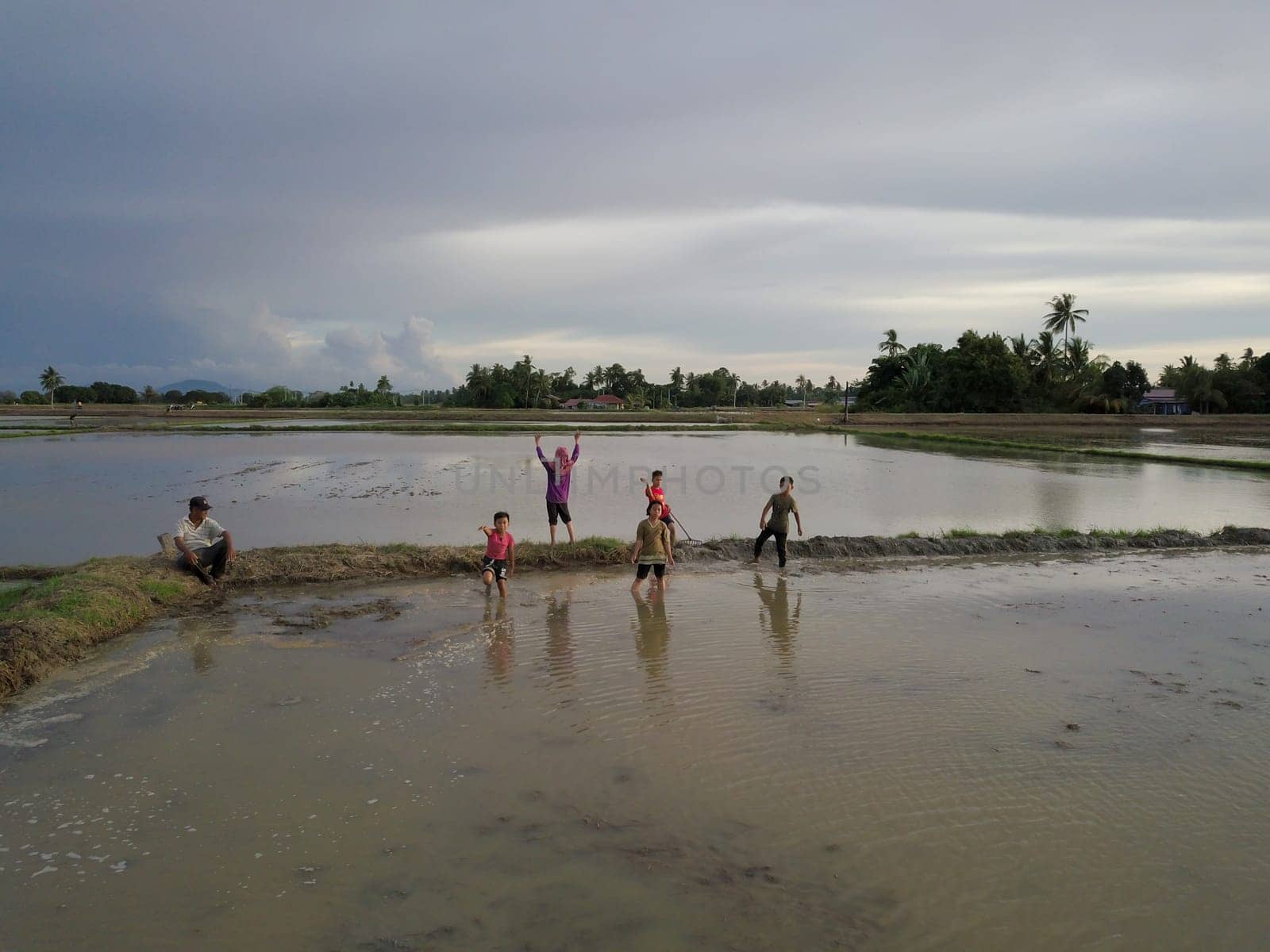 Penaga, Penang/Malaysia - Nov 03 2019: Aerial view kampung kids play in paddy field.