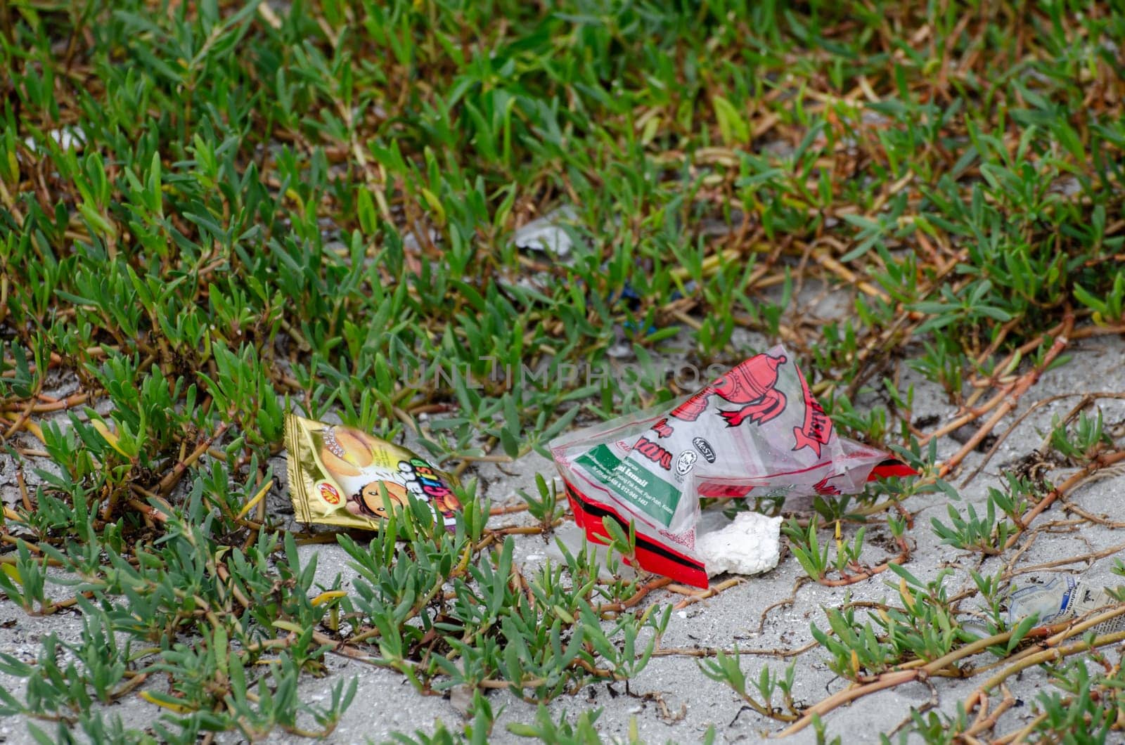 Batu Maung, Penang/Malaysia - Dec 28 2019: Food plastic bag throw at green plant.