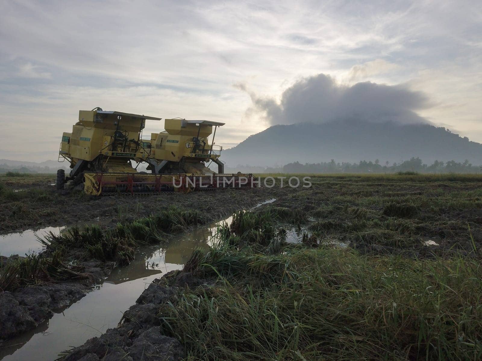 Bukit Mertajam, Penang/Malaysia - Oct 27 2019: Two harvesters park at paddy field.