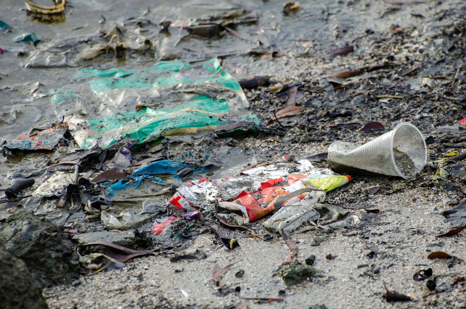 Batu Maung, Penang/Malaysia - Dec 28 2019: Plastic rubbish at sea coastal.