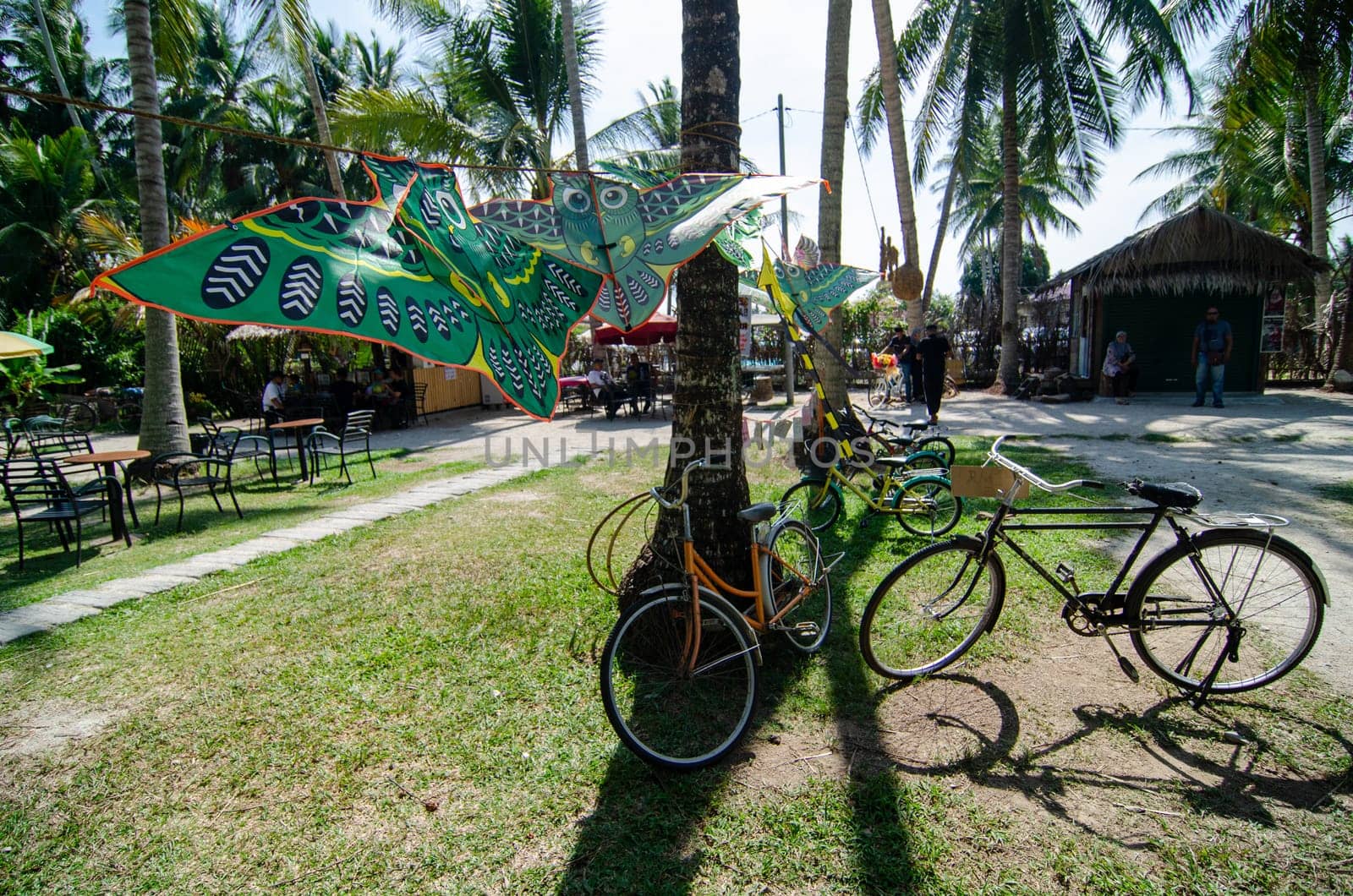 Penaga, Penang/Malaysia - Mar 14 2020: Bicycle and kites in green eco coconut farm.