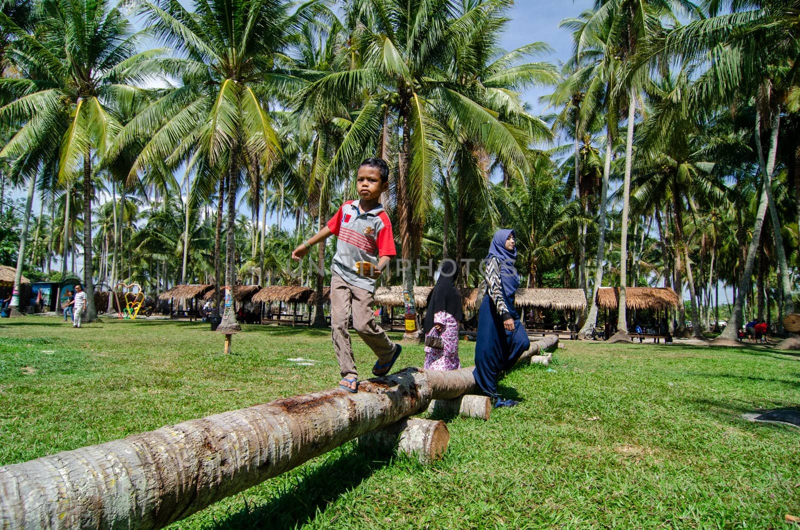 Penaga, Penang/Malaysia - Mar 15 2020: Kids walk on the trunk pf coconut.