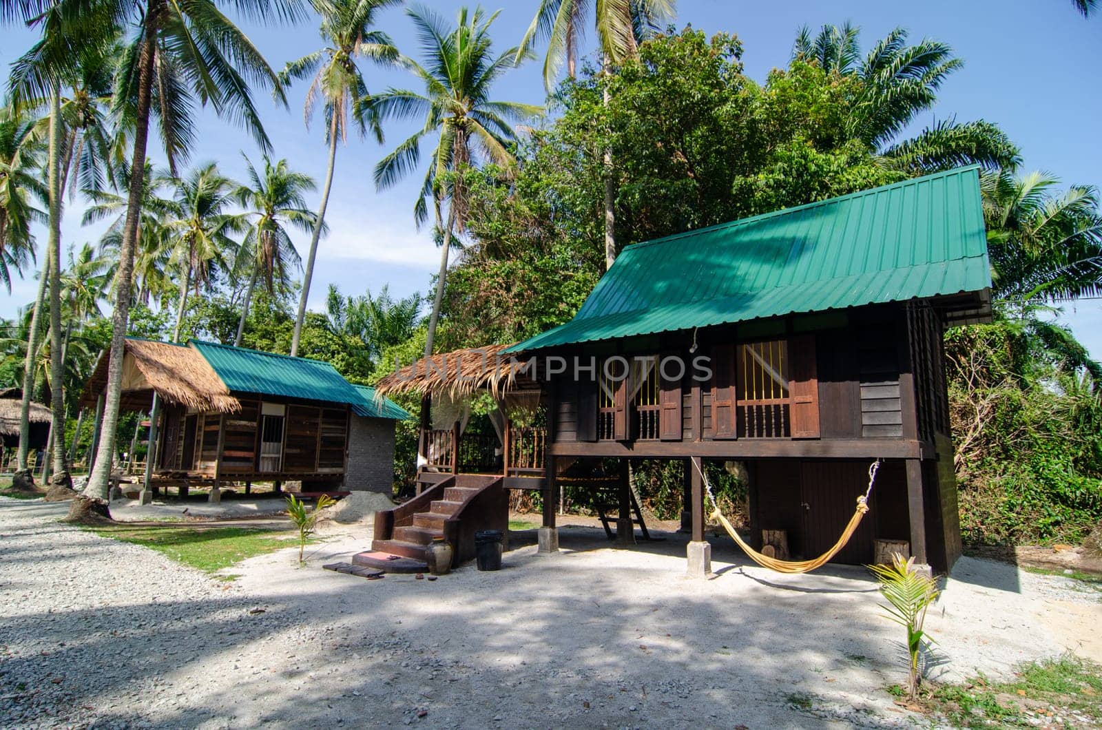 Malaysia stilt Malays house in coconut farm.