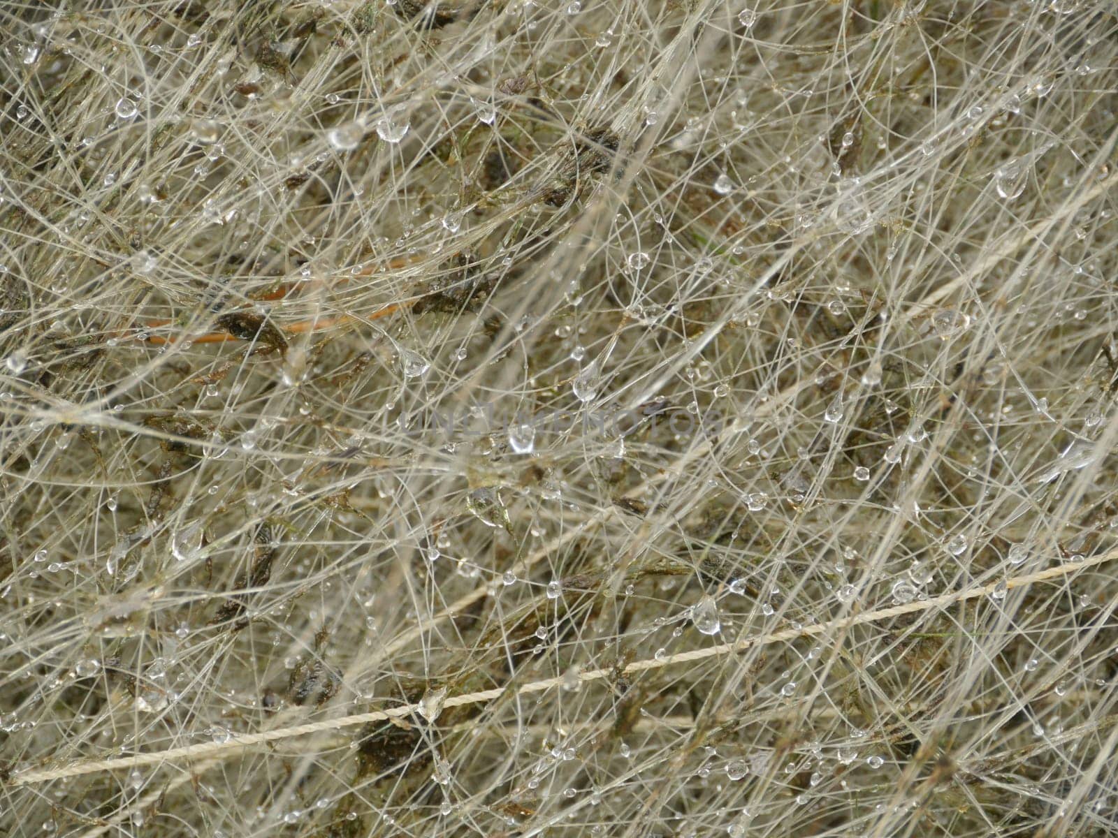 wet fishing nets dry close-up, abstract background