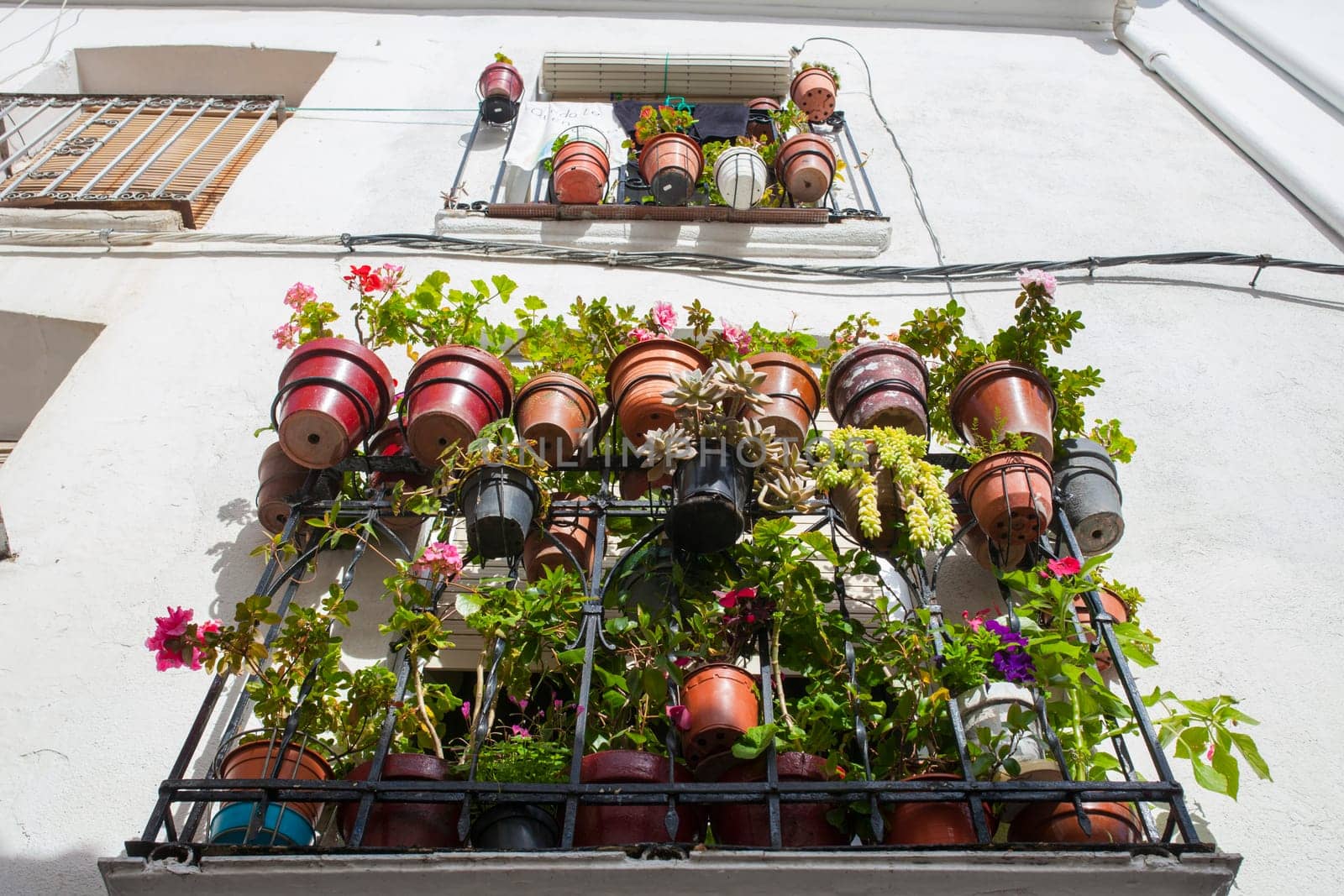 Balcony stuffed with flowerpots. Jaraiz de la Vera, Caceres, Extremadura, Spain
