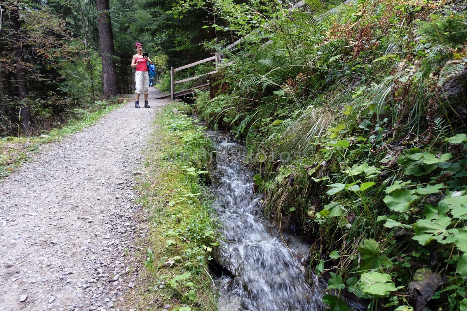 Hike on the Verdinser Waal trail to the Waaler hut, Schenna, South Tyrol, Italy