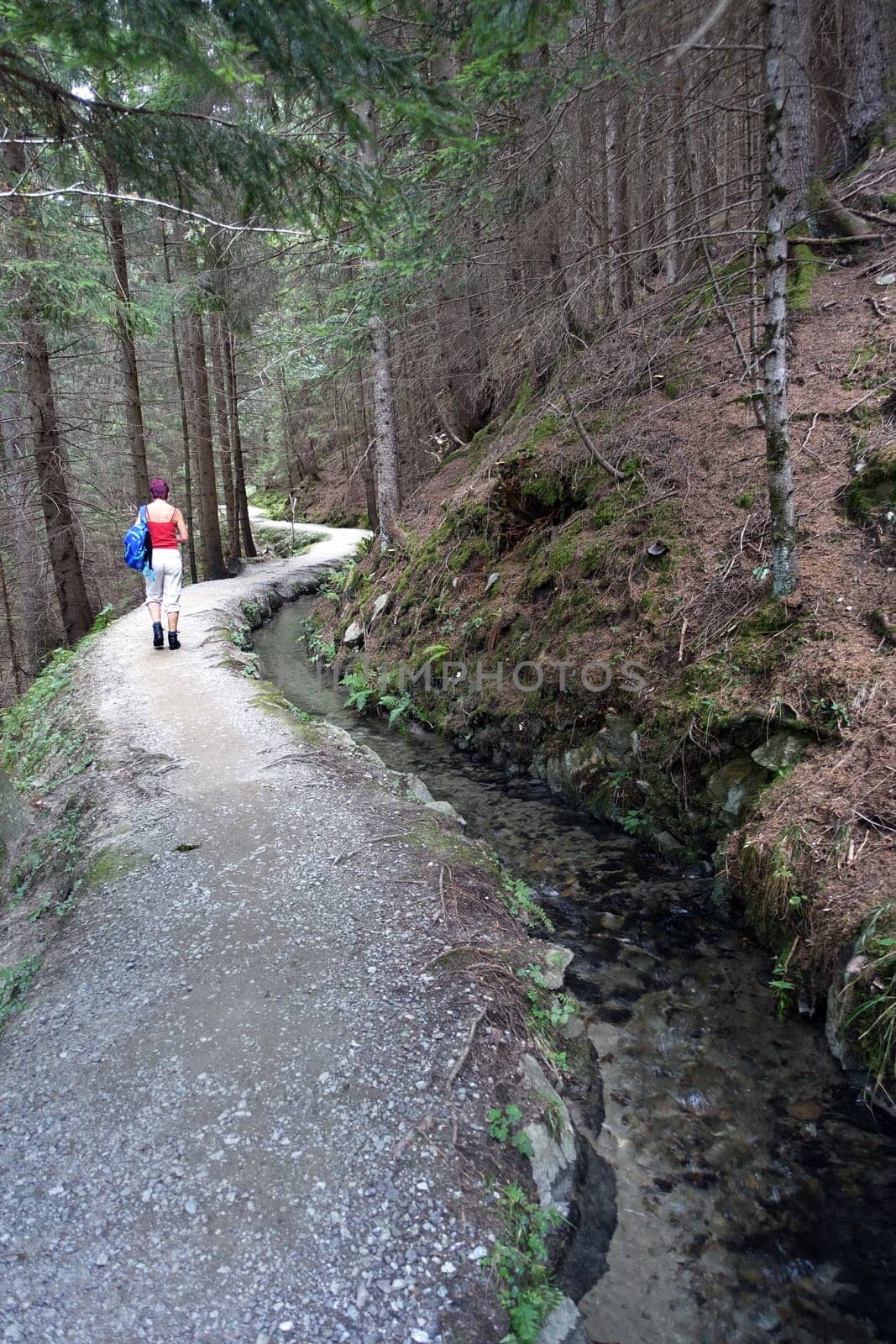 Hike on the Verdinser Waal trail to the Waaler hut, Schenna, South Tyrol, Italy