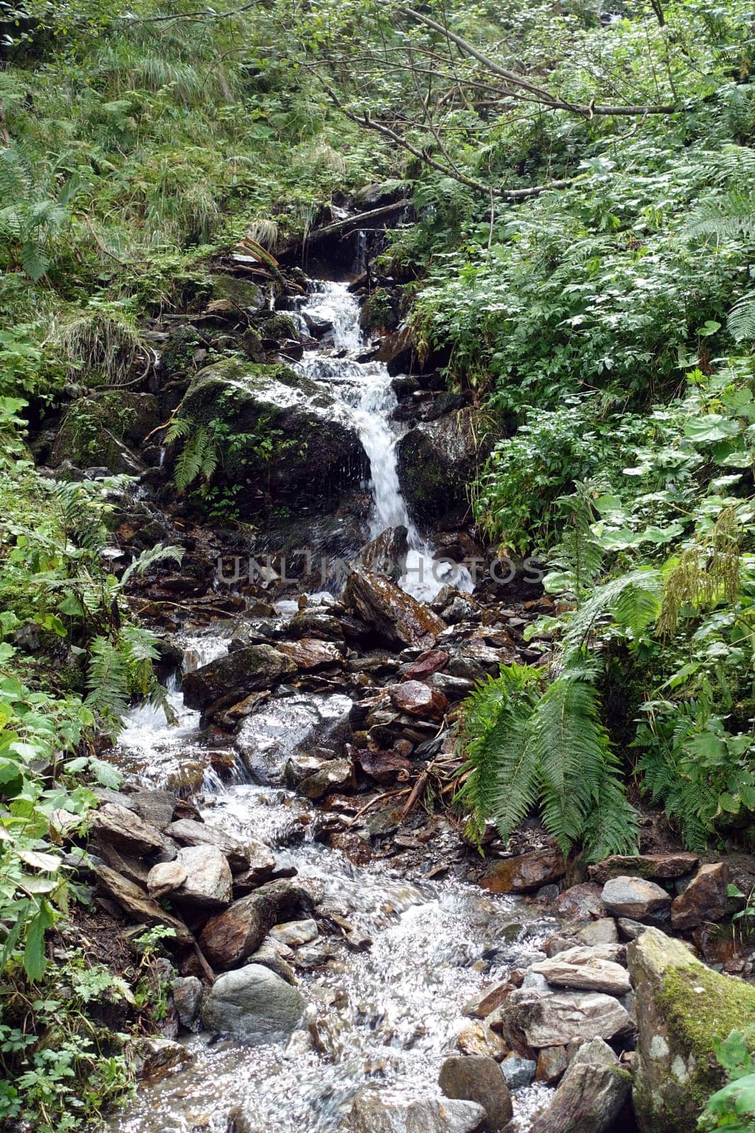 Hike on the Verdinser Waal trail to the Waaler hut, Schenna, South Tyrol, Italy