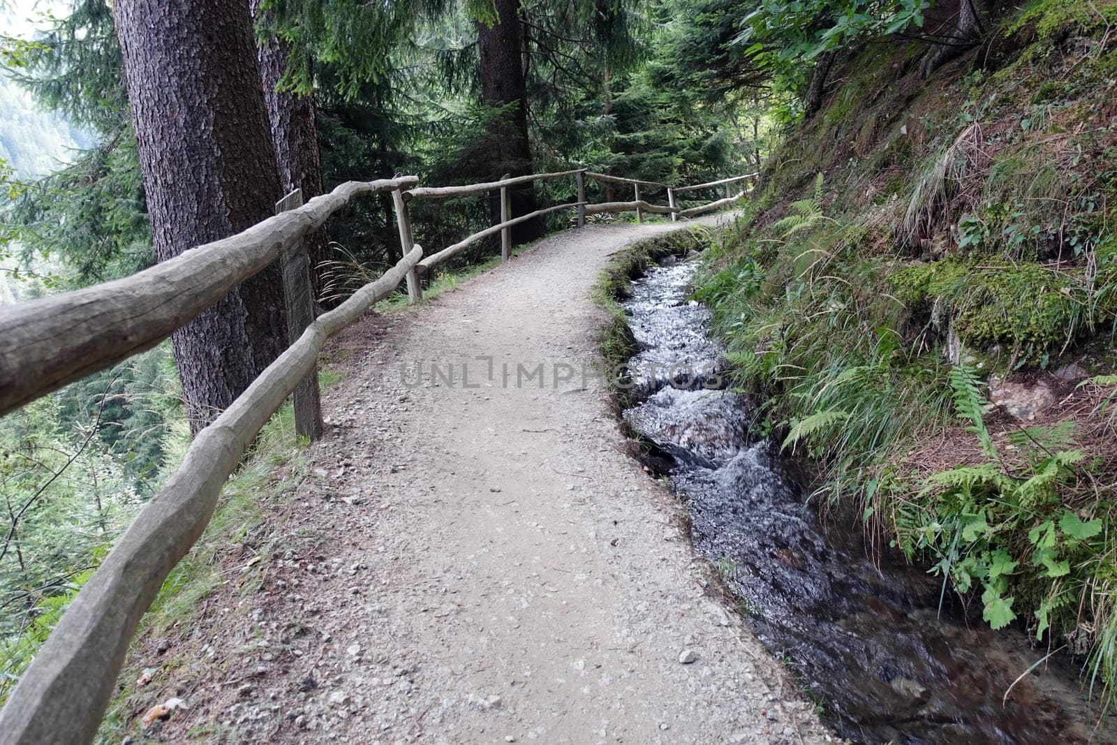 Hike on the Verdinser Waal trail to the Waaler hut, Schenna, South Tyrol, Italy