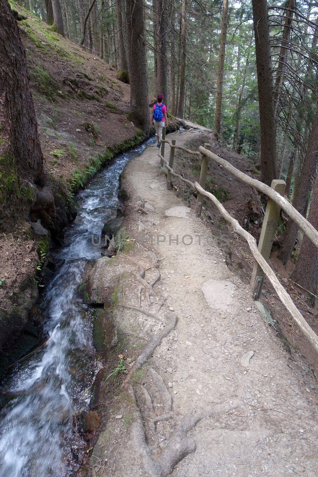 Hike on the Verdinser Waal trail to the Waaler hut, Schenna, South Tyrol, Italy