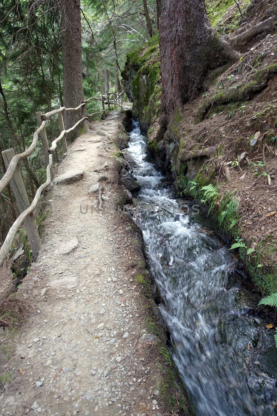 Hike on the Verdinser Waal trail to the Waaler hut, Schenna, South Tyrol, Italy