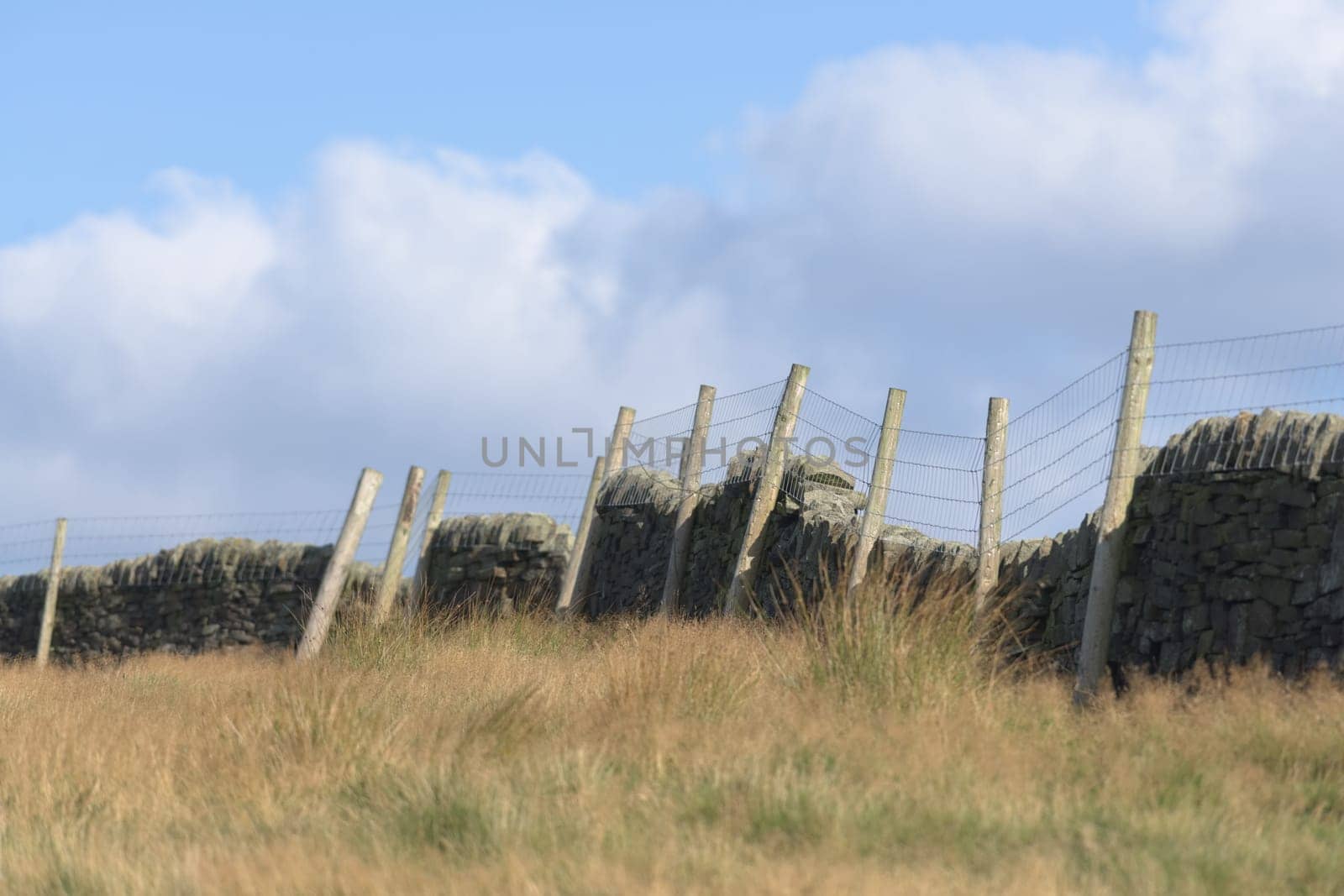 Telephoto image of blue cloudy sky behind wire wood fence and a shadowed dry stone wall. Long bright meadow grass blurred in foreground. Copy space