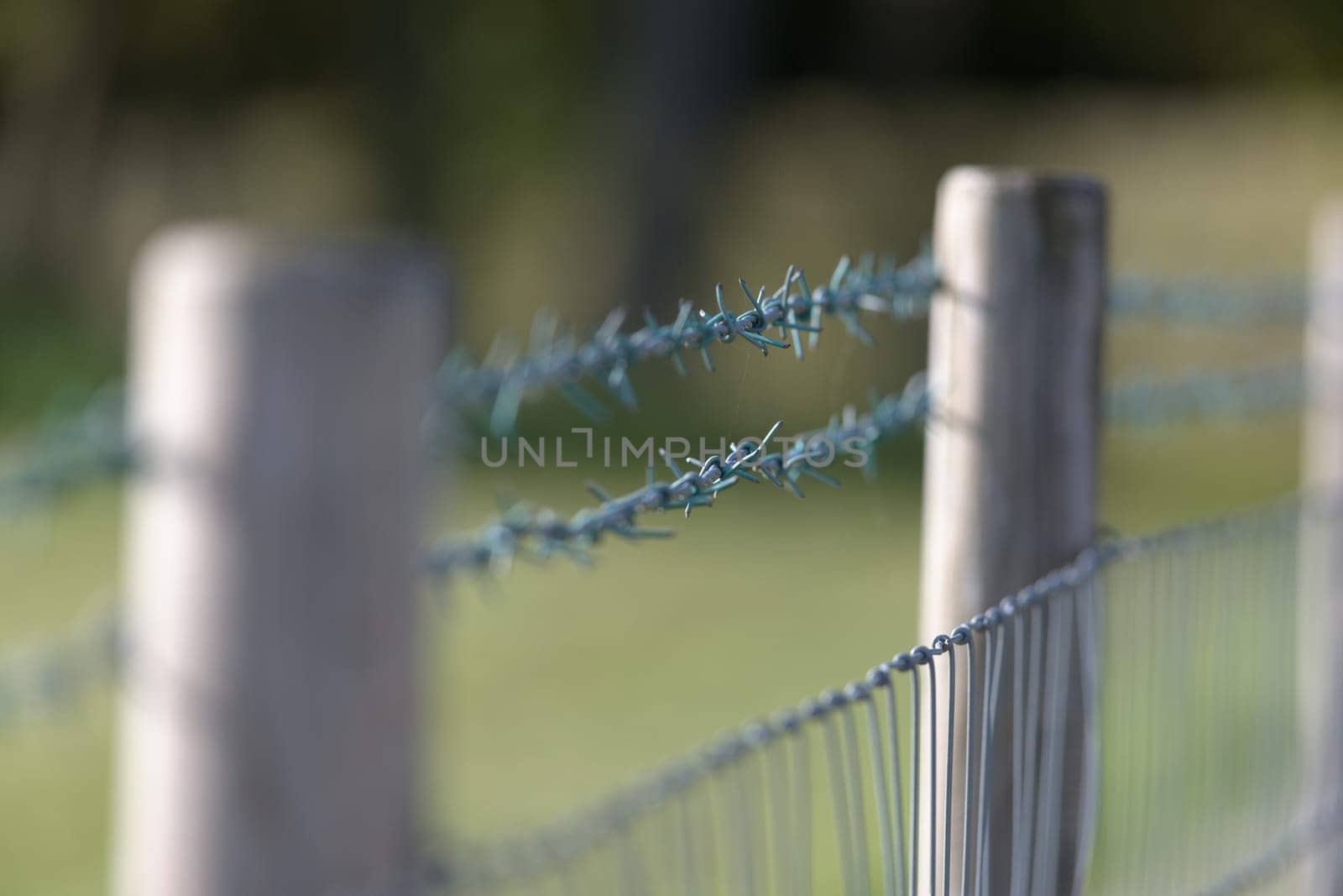 Shallow depth of field created by selective focus on a rural barbed wire fence. Thin cobweb between the wires, side lit by natural daylight sun.