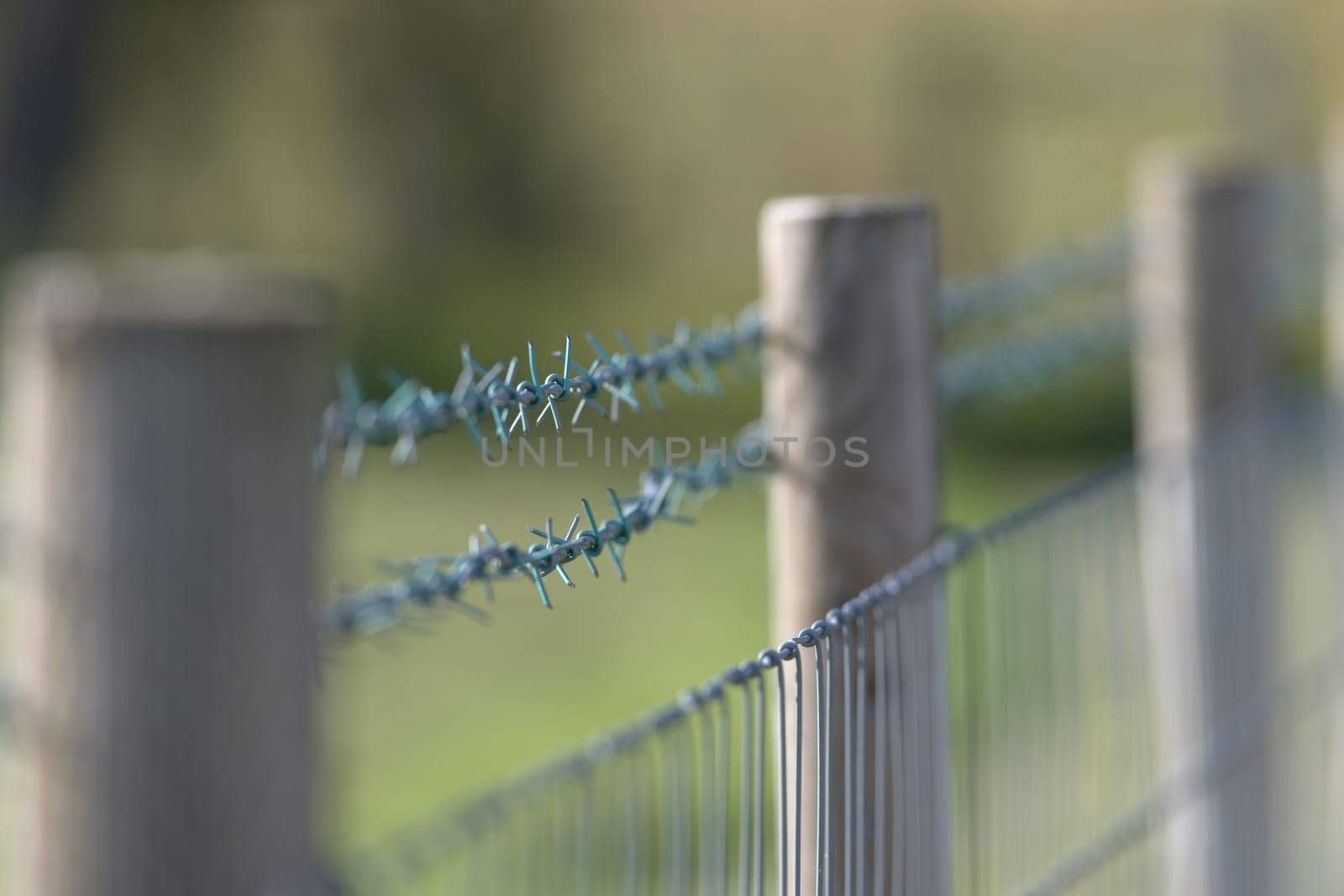 Smooth warm background behind two rows of sharp barbed wire fence. Modern and new fence in a rural setting with wooden fence posts. outdoor boundary