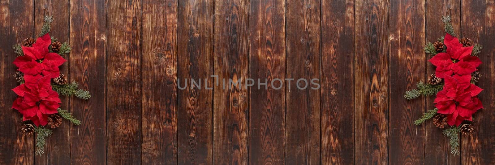 Red Poinsettia flowers (Euphorbia Pulcherrima) and fir branch on brown wooden background. Christmas and New Year ornaments. Greeting card with copy space. Top view. Christmas flower