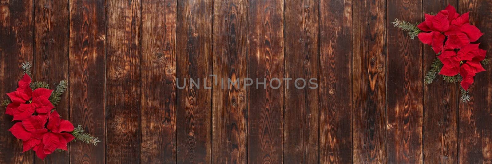Red Poinsettia flowers (Euphorbia Pulcherrima) and fir branch on brown wooden background. Christmas and New Year ornaments. Greeting card with copy space. Top view. Christmas flower