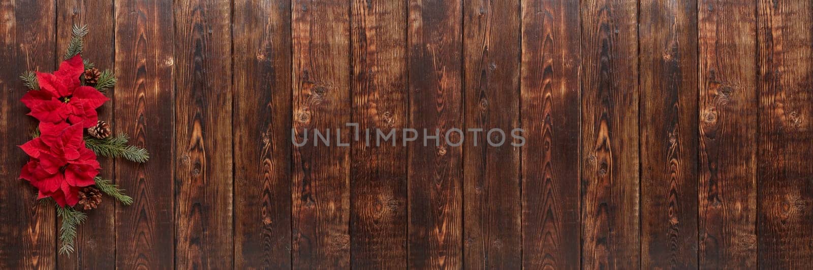 Red Poinsettia flowers (Euphorbia Pulcherrima) and fir branch on brown wooden background. Christmas and New Year ornaments. Greeting card with copy space. Top view. Christmas flower