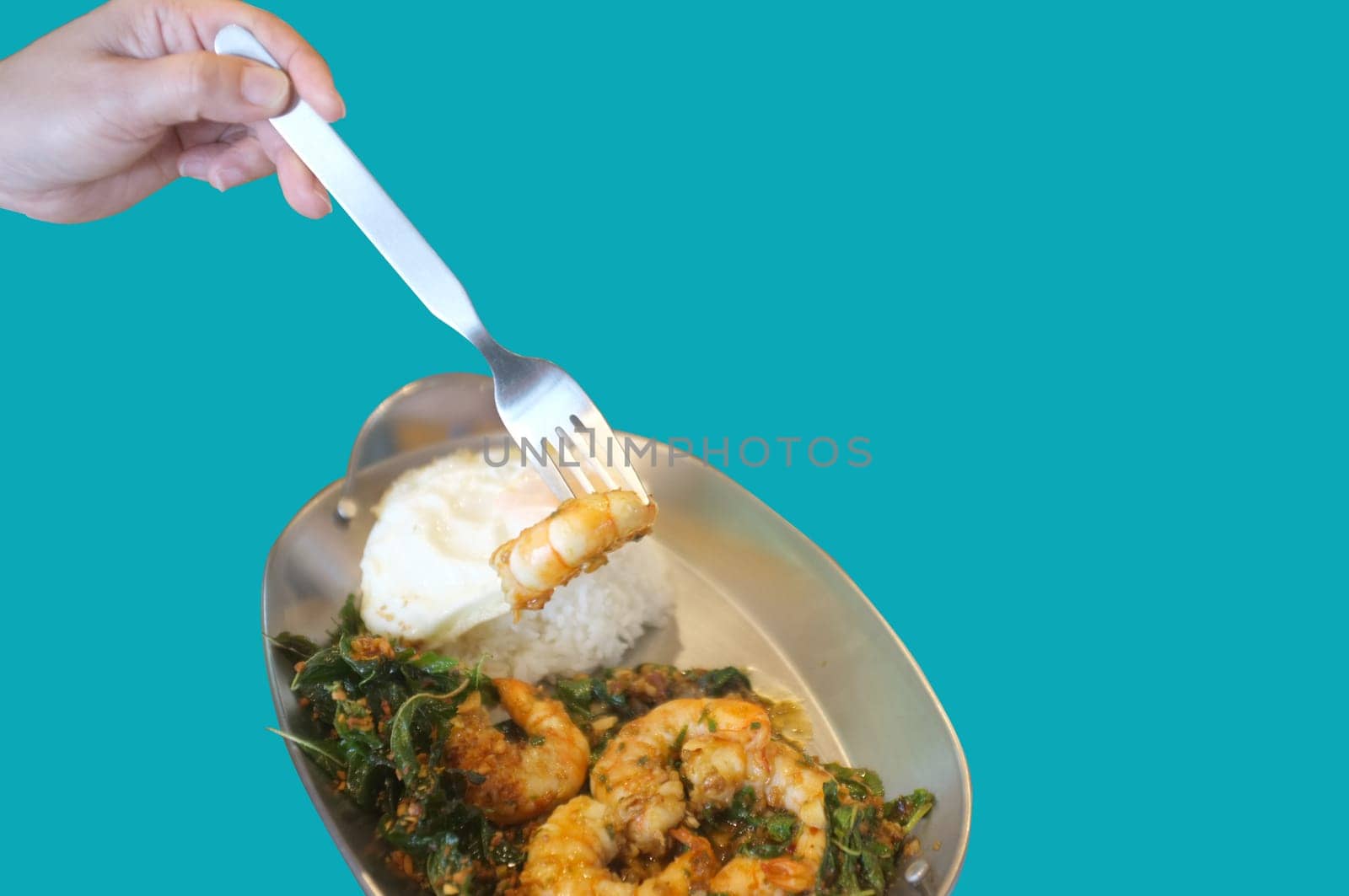 Stirred-fry shrimps or prawns with basil leaves, fried egg over rice on blue background . Thai food