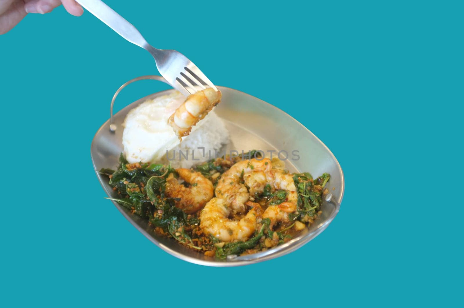 Stirred-fry shrimps or prawns with basil leaves, fried egg over rice on blue background . Thai food