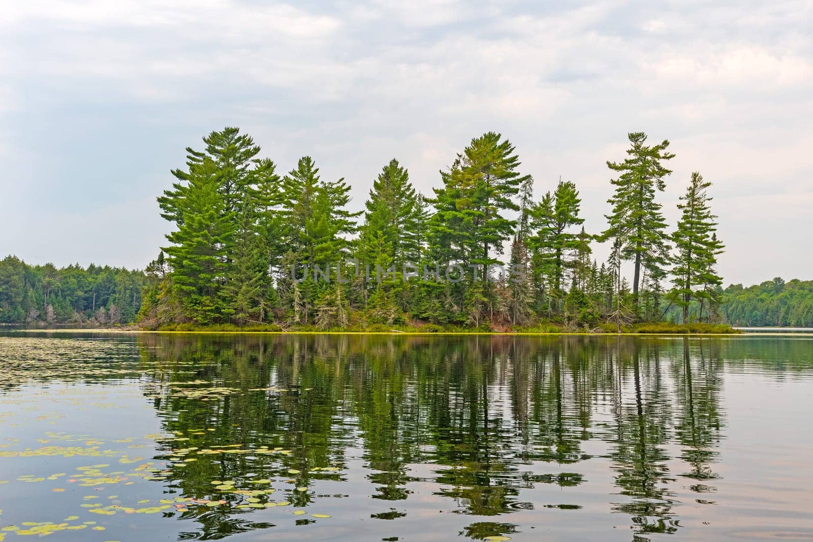 Quiet Day on a North Woods Lake in the Sylvania Wilderness in Michigan