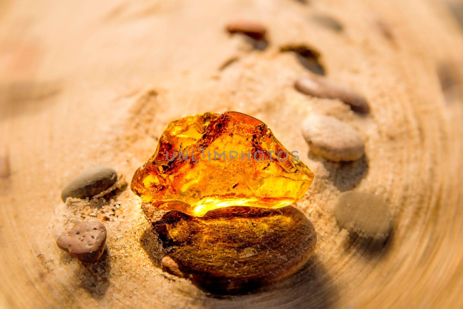 Amber on a beach of the Baltic Sea.
