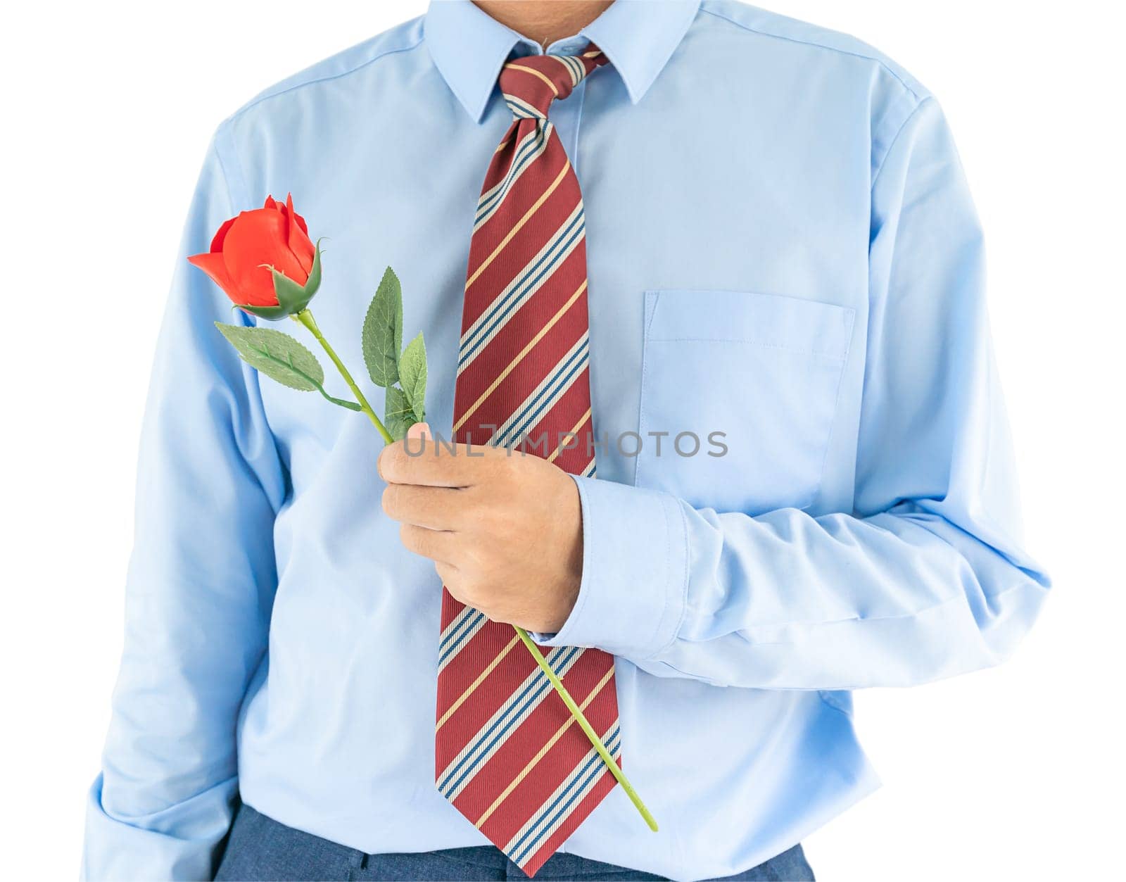 Close up photo of man holding with red rose on white background