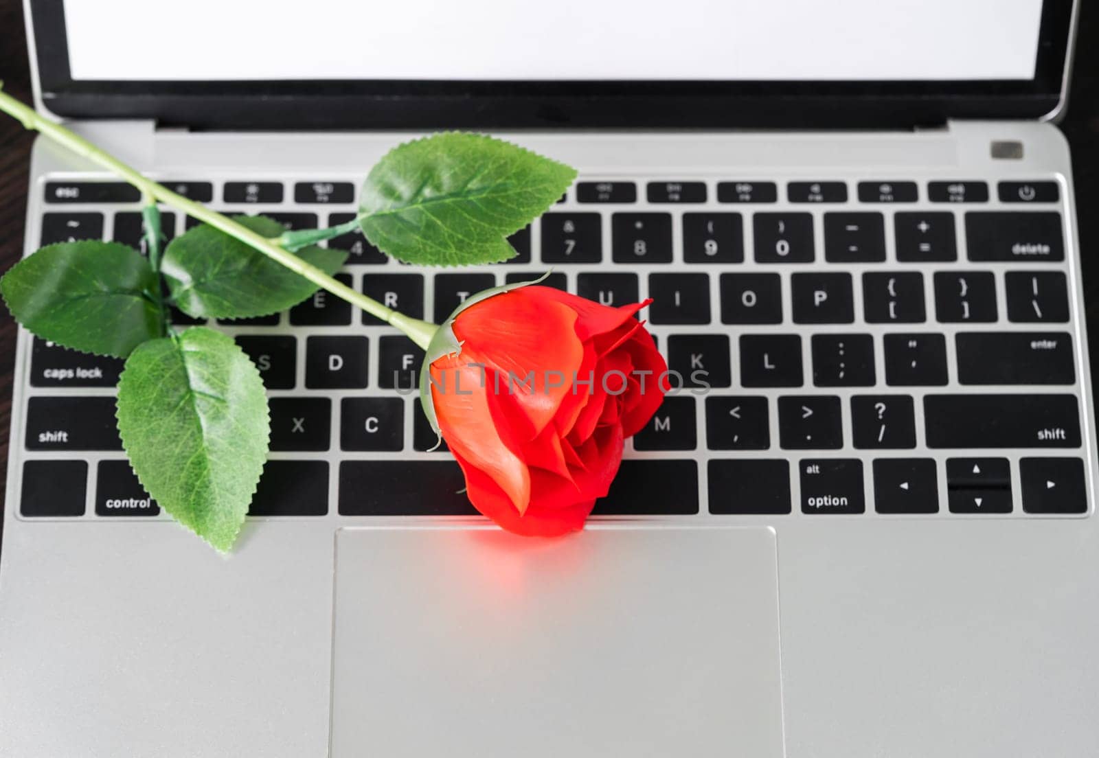 Red rose and the laptop on deck, Valentine concept