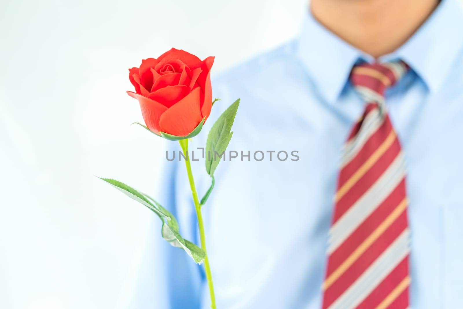 Close up photo of Man holding red roses in hand on white background