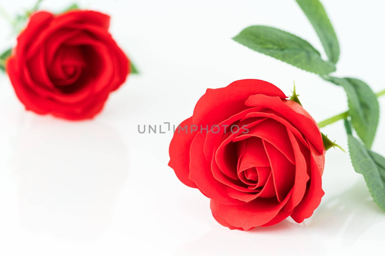 Single Red plastic fake roses on white background for Valentine's Day