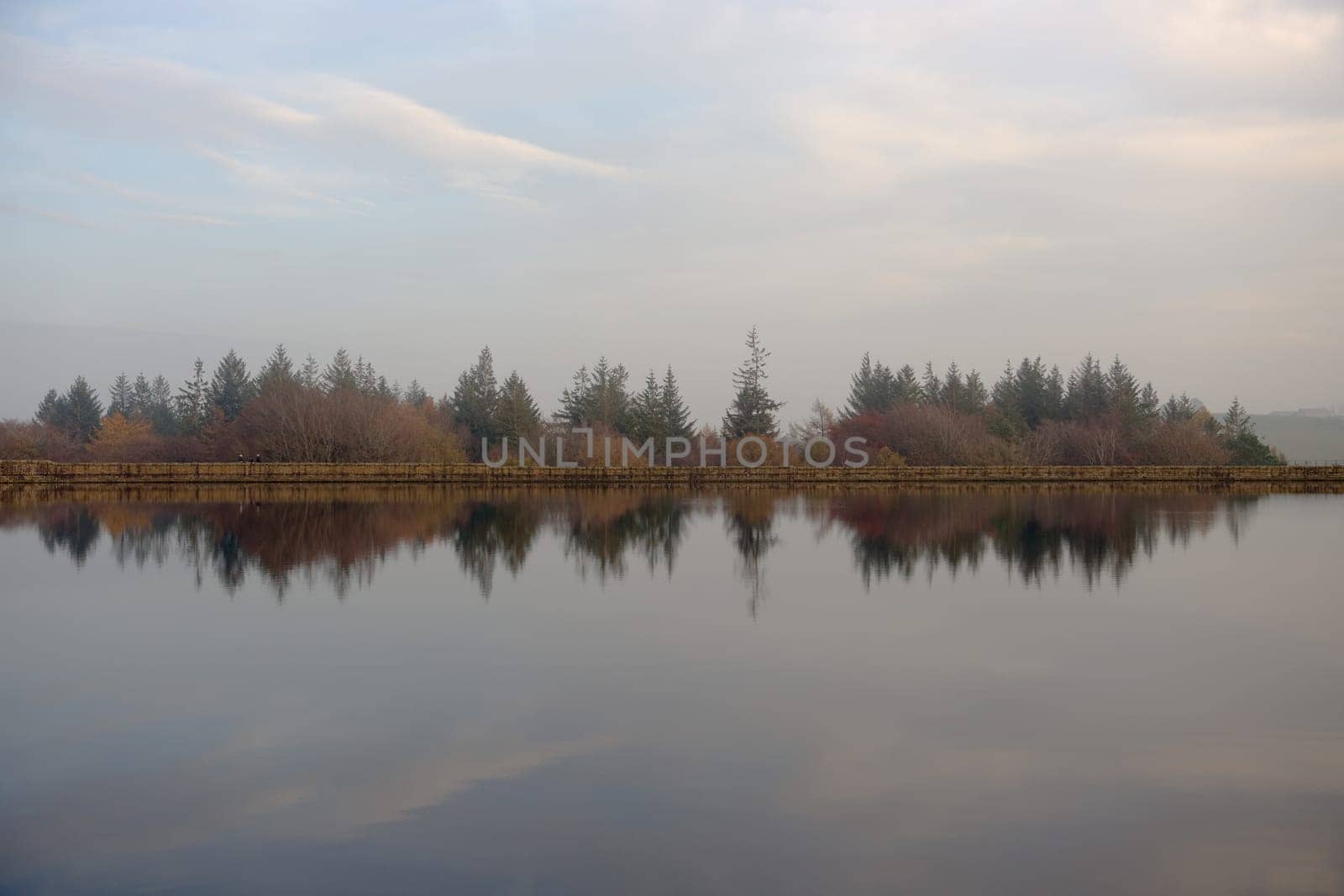 Warm orange autumnal tree tops at dusk, emerging over the dam wall of the middle dam at redmires reservoirs. Three distant people sit on the wall