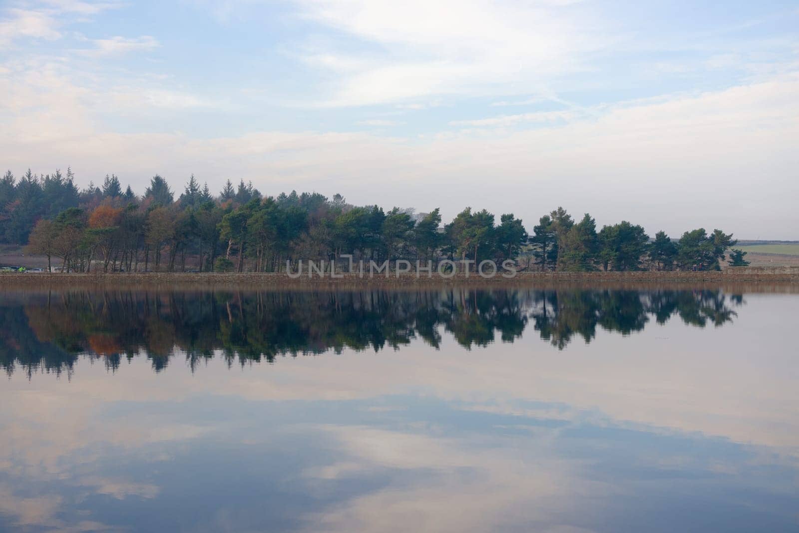 Autumn season coniferous forest reflected over still water of redmires reservoirs. Wispy cloudscape and gentle evening colors also reflected.