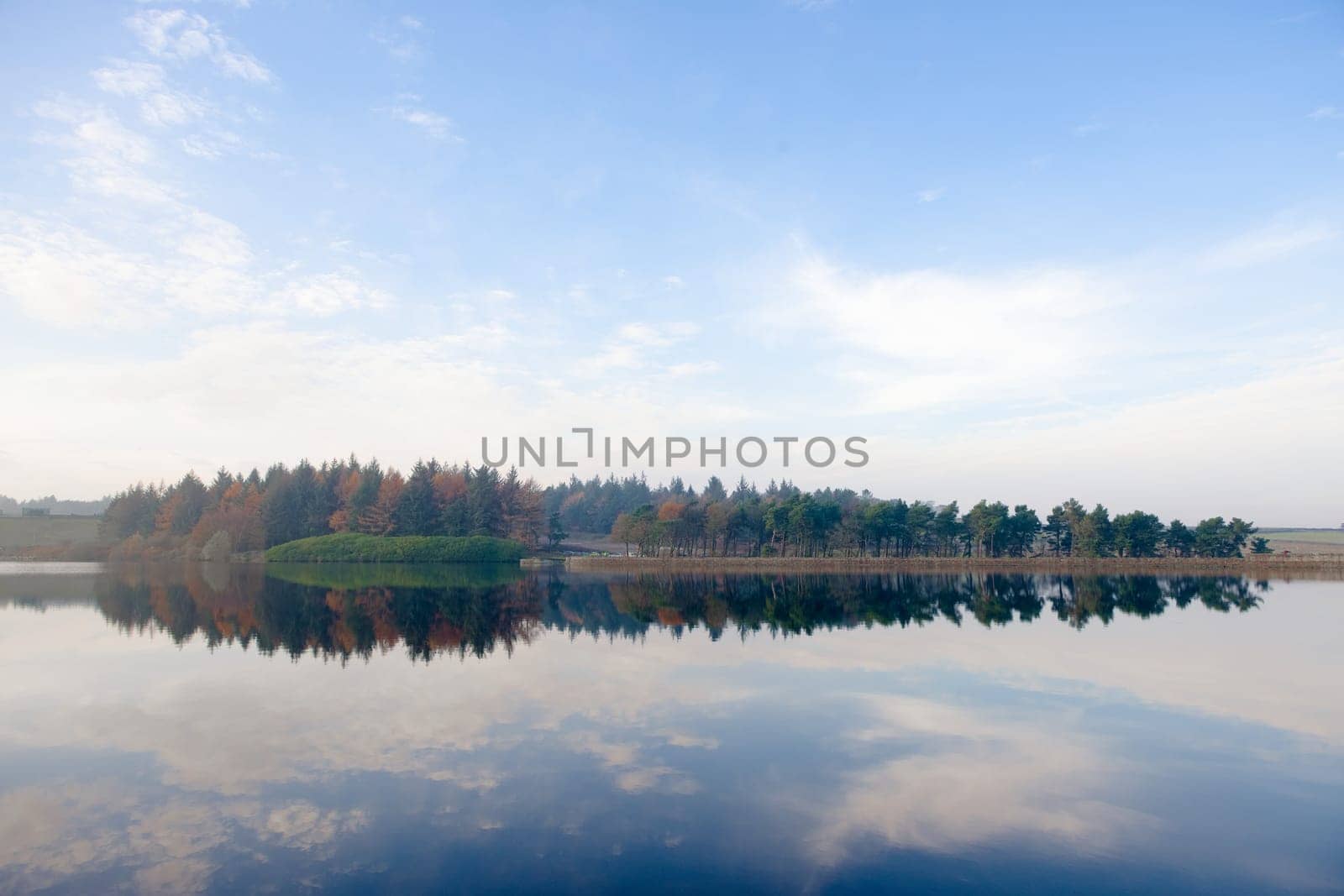 Bold mirrored landscape image of an autumnal forest. Trees form a line on the horizon, which is then reflected in the still water of a reservoir