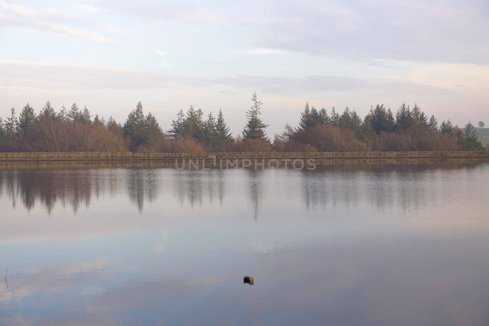 Shimmery reflection of autumn tree tops from behind a dam wall. Partially submerged metal post sticks out in the middle of the reservoir. autumn time