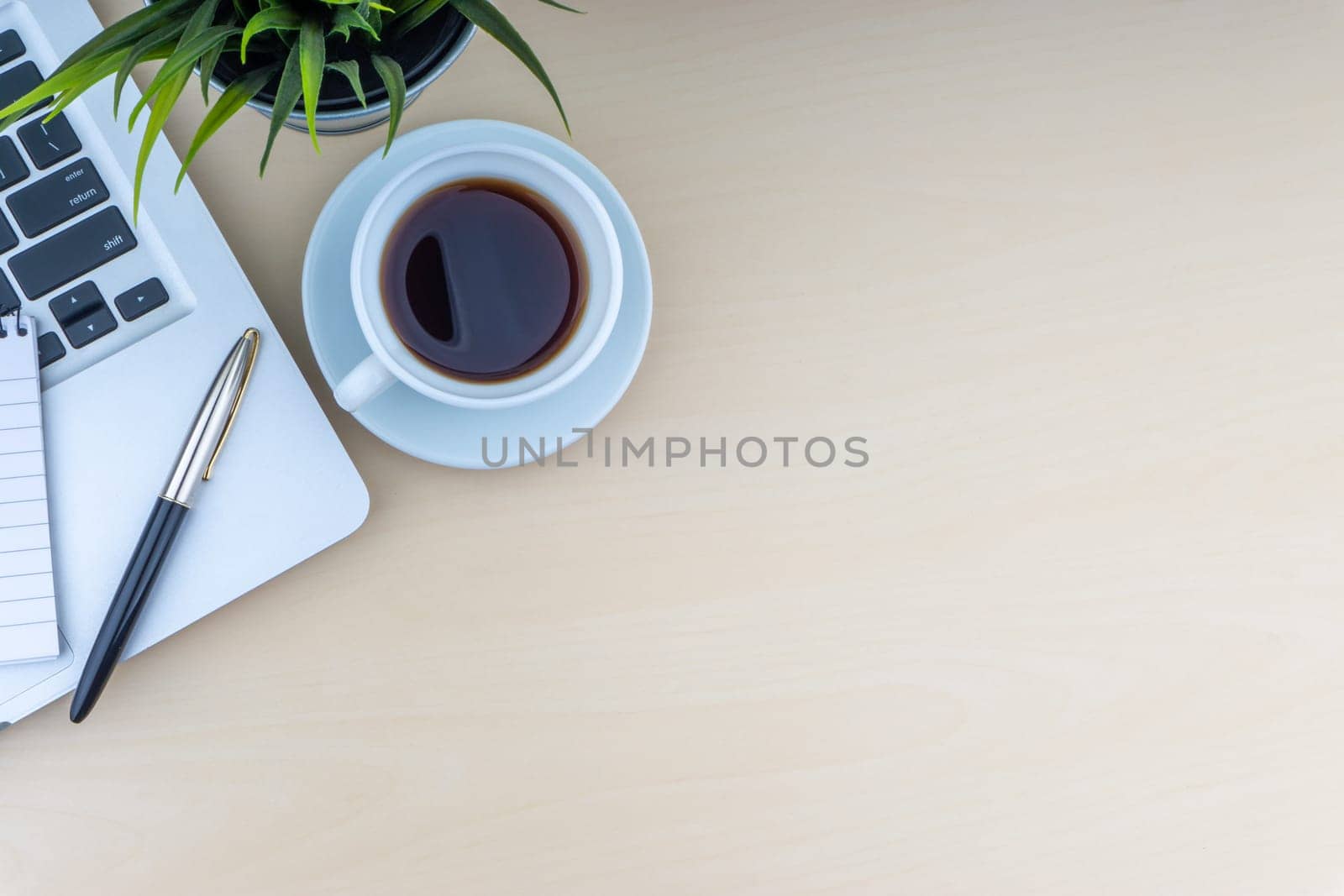Laptop, notepad, fountain pen, decorative plant and cup of coffee on wooden background. Business and copy space concept..