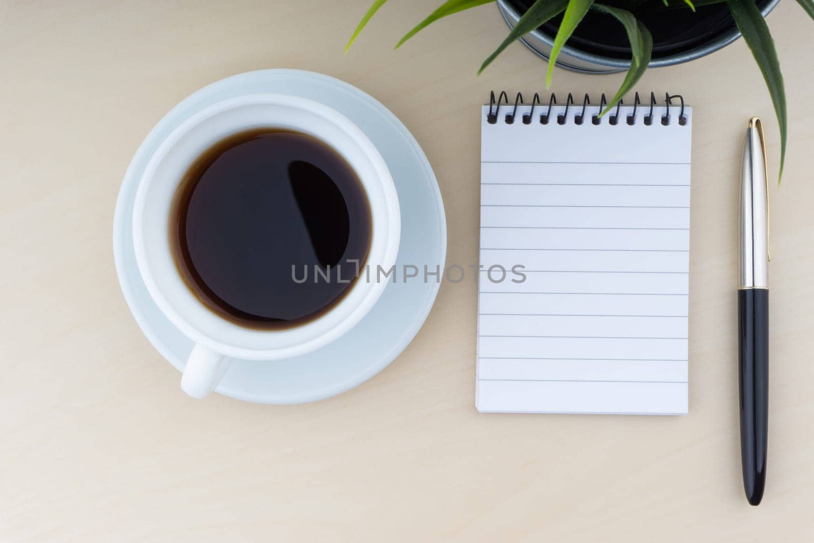 Fountain pen, decorative plant, notepad and cup of coffee on wooden background. Business and copy space concept..