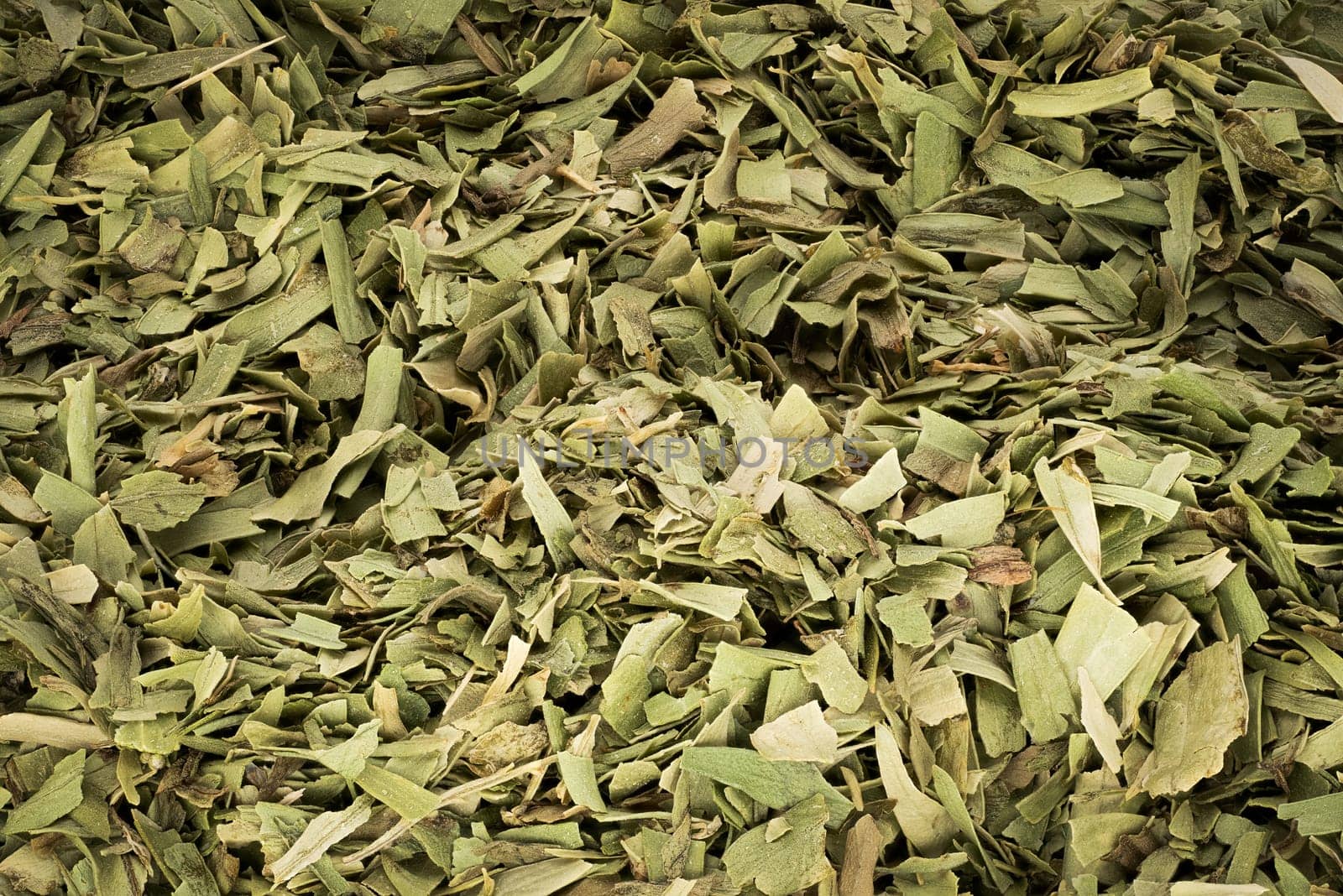 Dried Tarragon Leaves, close up and studio shot of ingredient