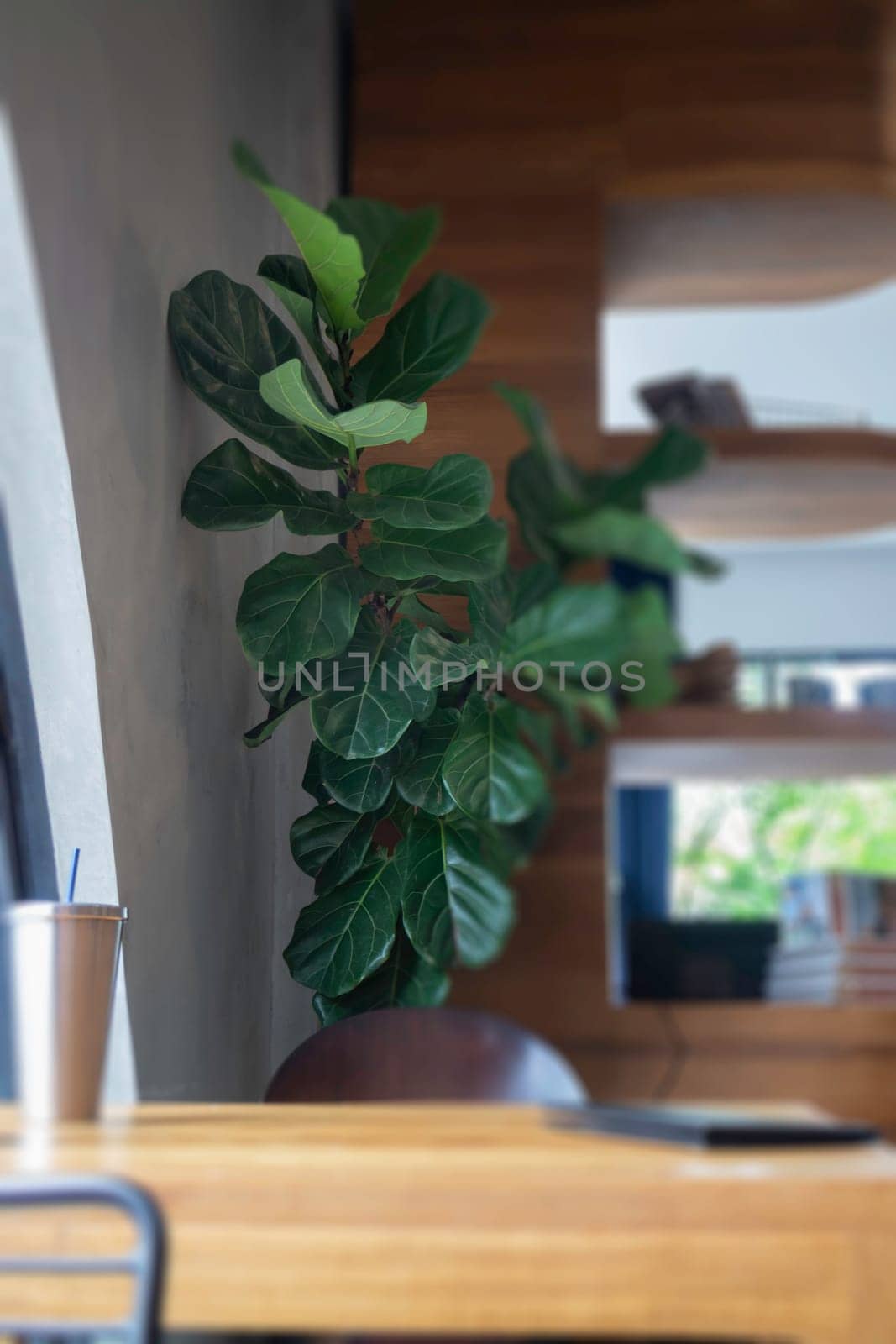 Vintage retro items decorated on wood wall, stock photo