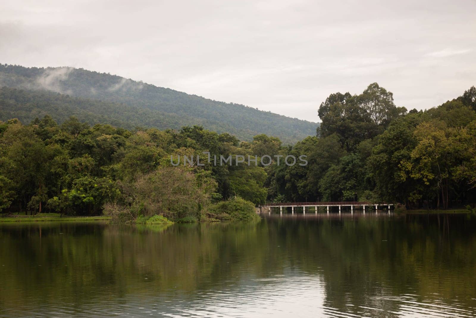 Lake view side relaxing in nature, stock photo