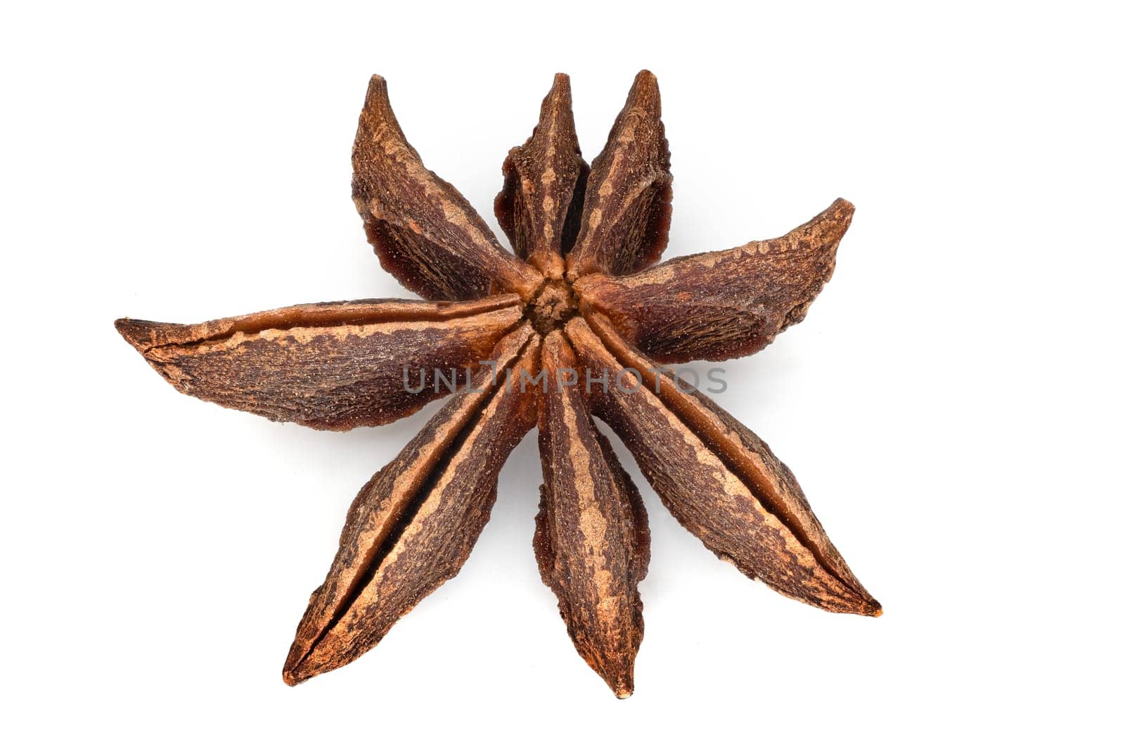 Star Anise, close up and studio shot of dried ingredient on white background