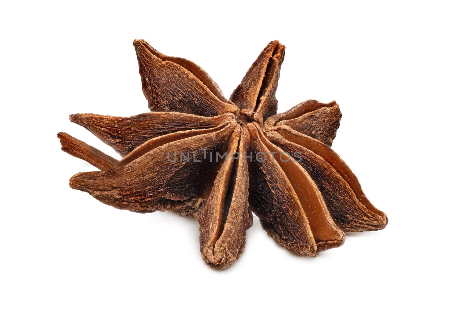 Star Anise, close up and studio shot of dried ingredient on white background