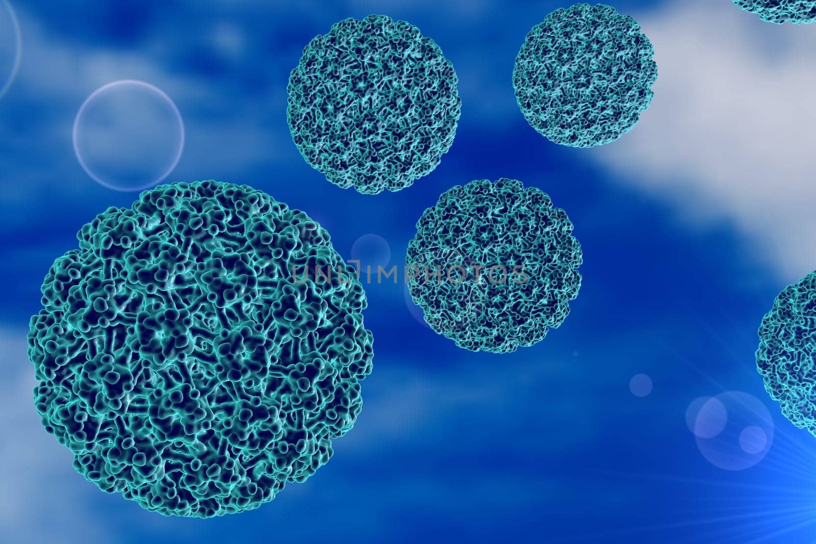 Virus
