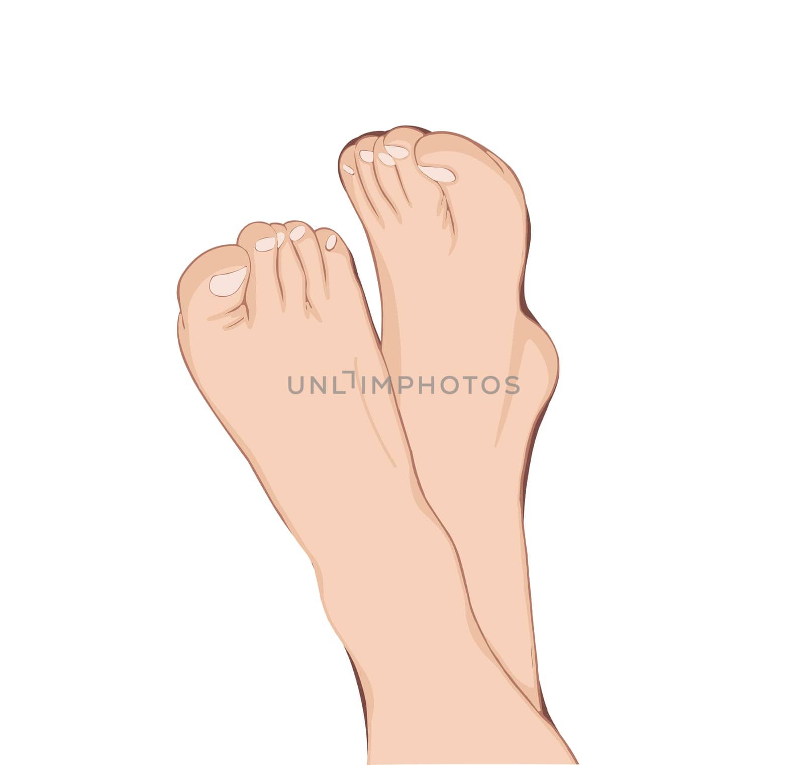 Beautiful with white woman's legs, isolated on soft white background. Hygiene concept. Hygiene of the feet. pedicure.