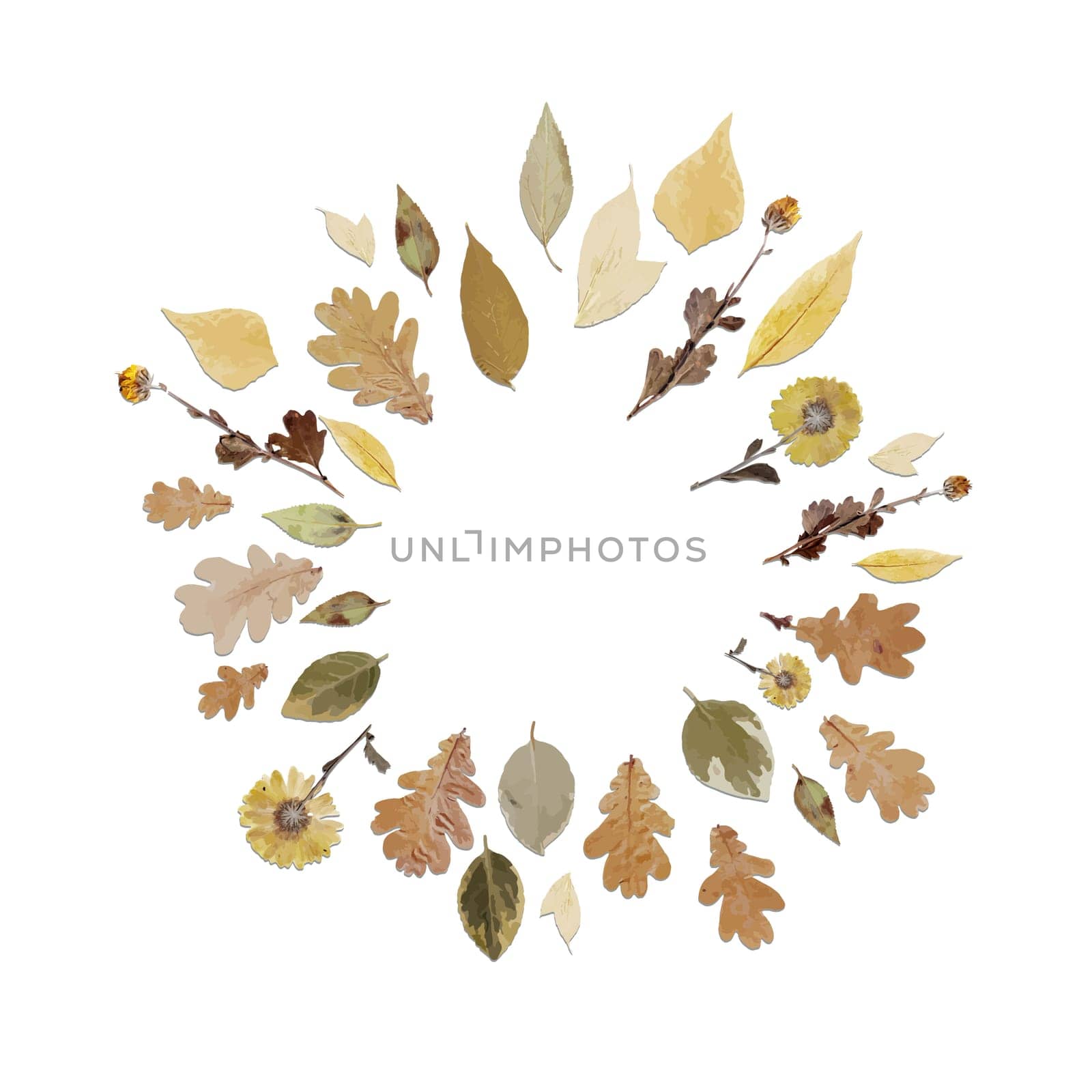 round frame or wreath made of realistic autumn leaves. Autumn leaf fall.